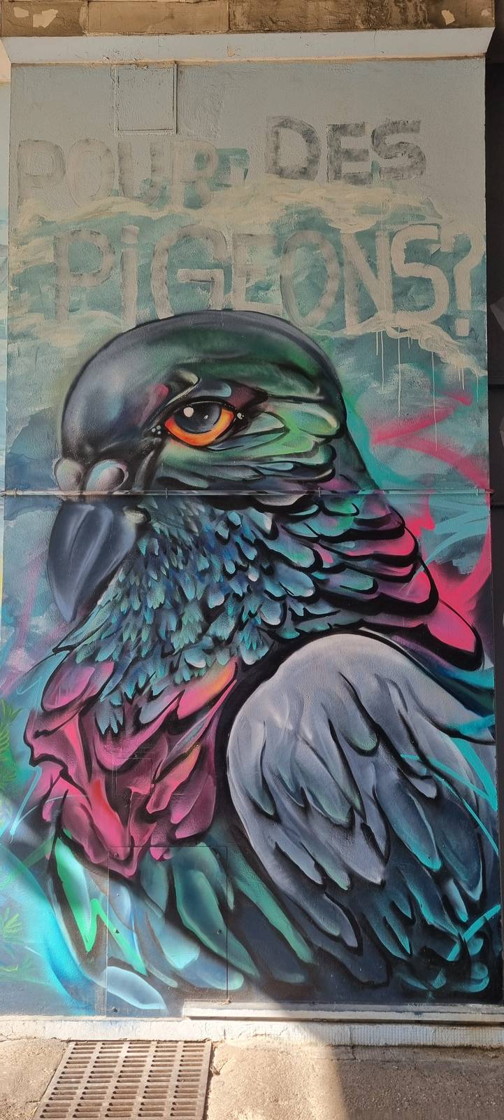 Dune Cros&mdash;Pigeons