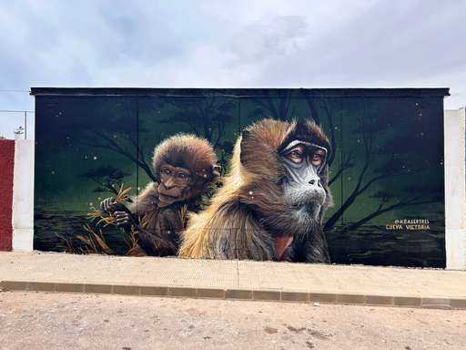 Babuino – Theropithecus II