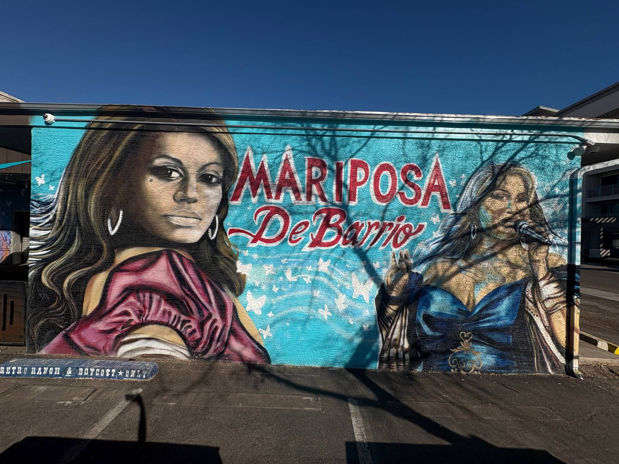 Unknown - Phoenix&mdash;Mariposa De Barrio