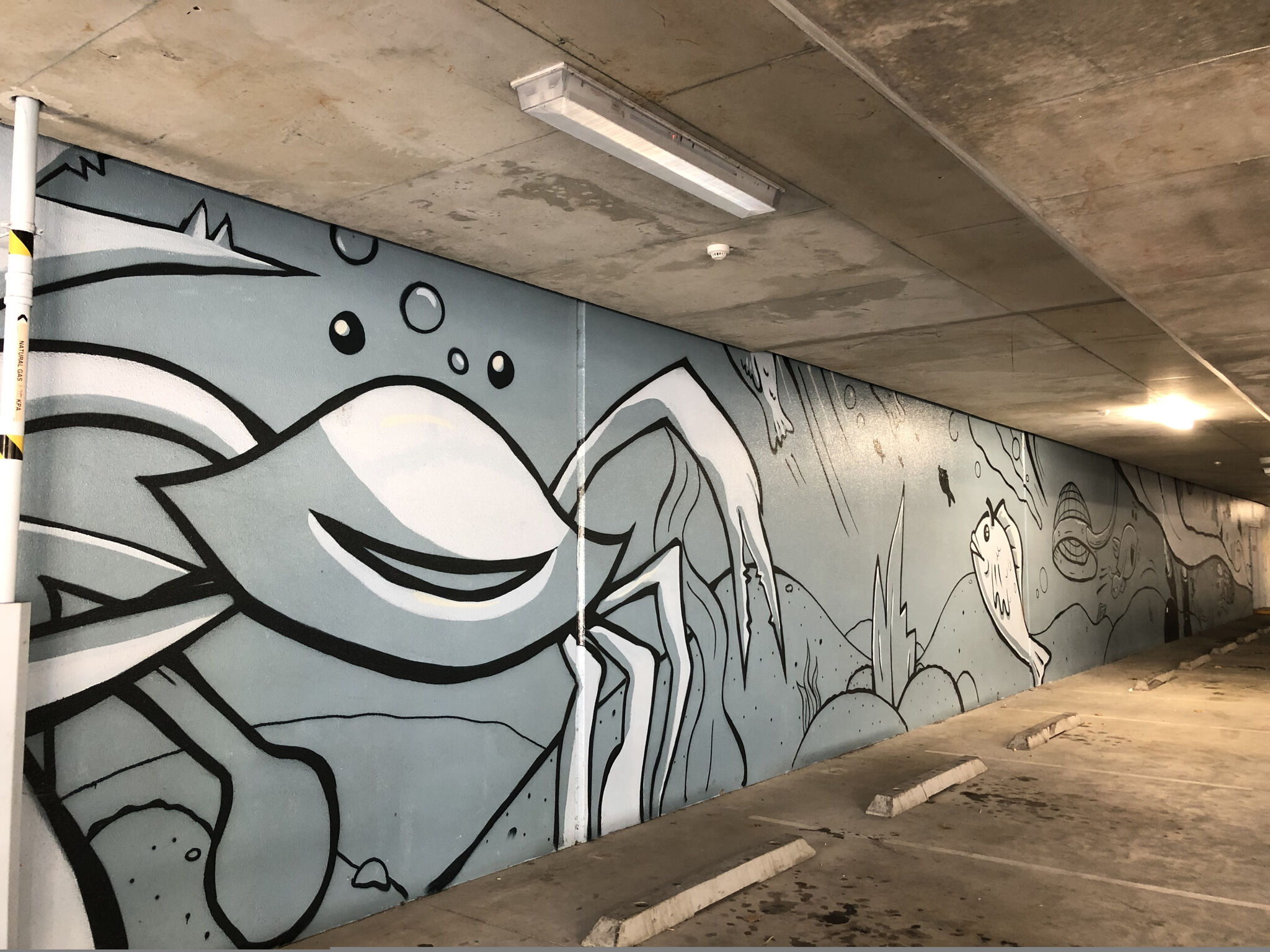 Sam Shields&mdash;Mandurah Forum carpark