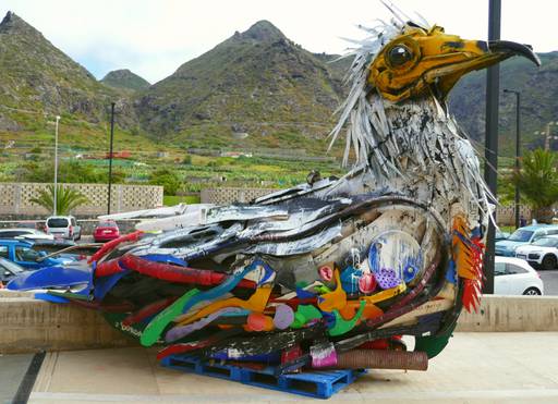Half Guirre Canario