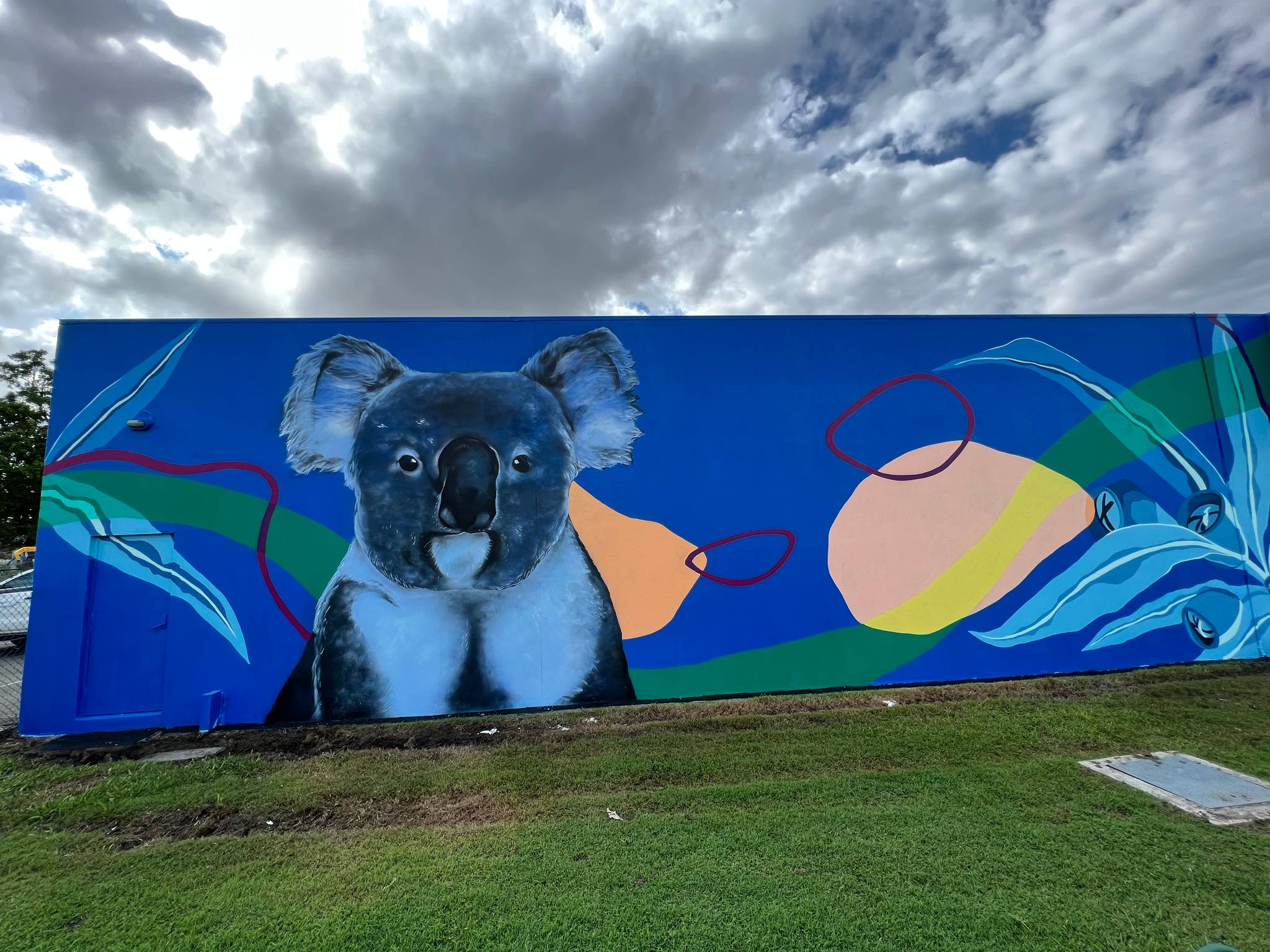 Drule&mdash;Koala Blues