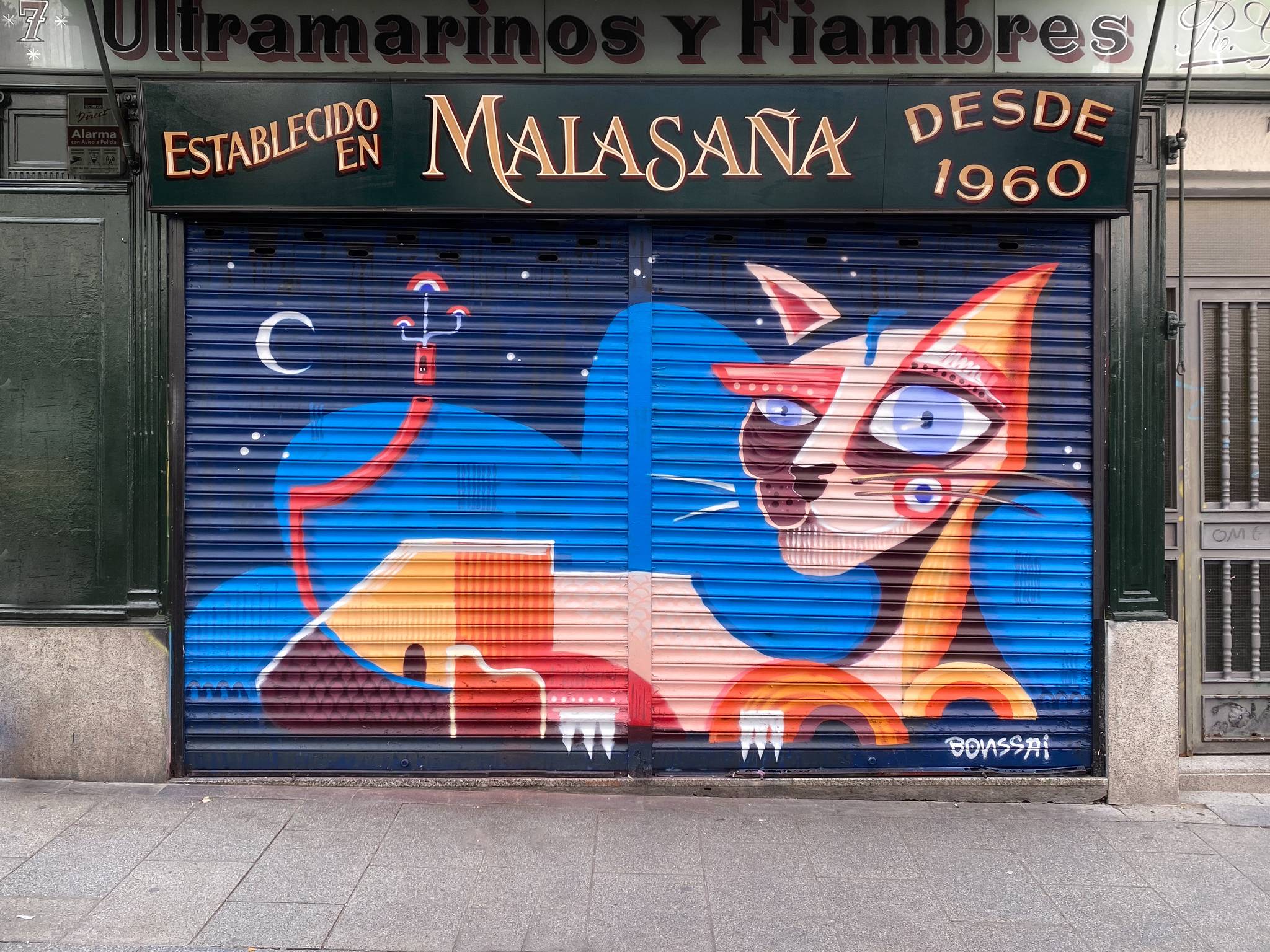  Dan Bonssai&mdash;Gatto · 2024
