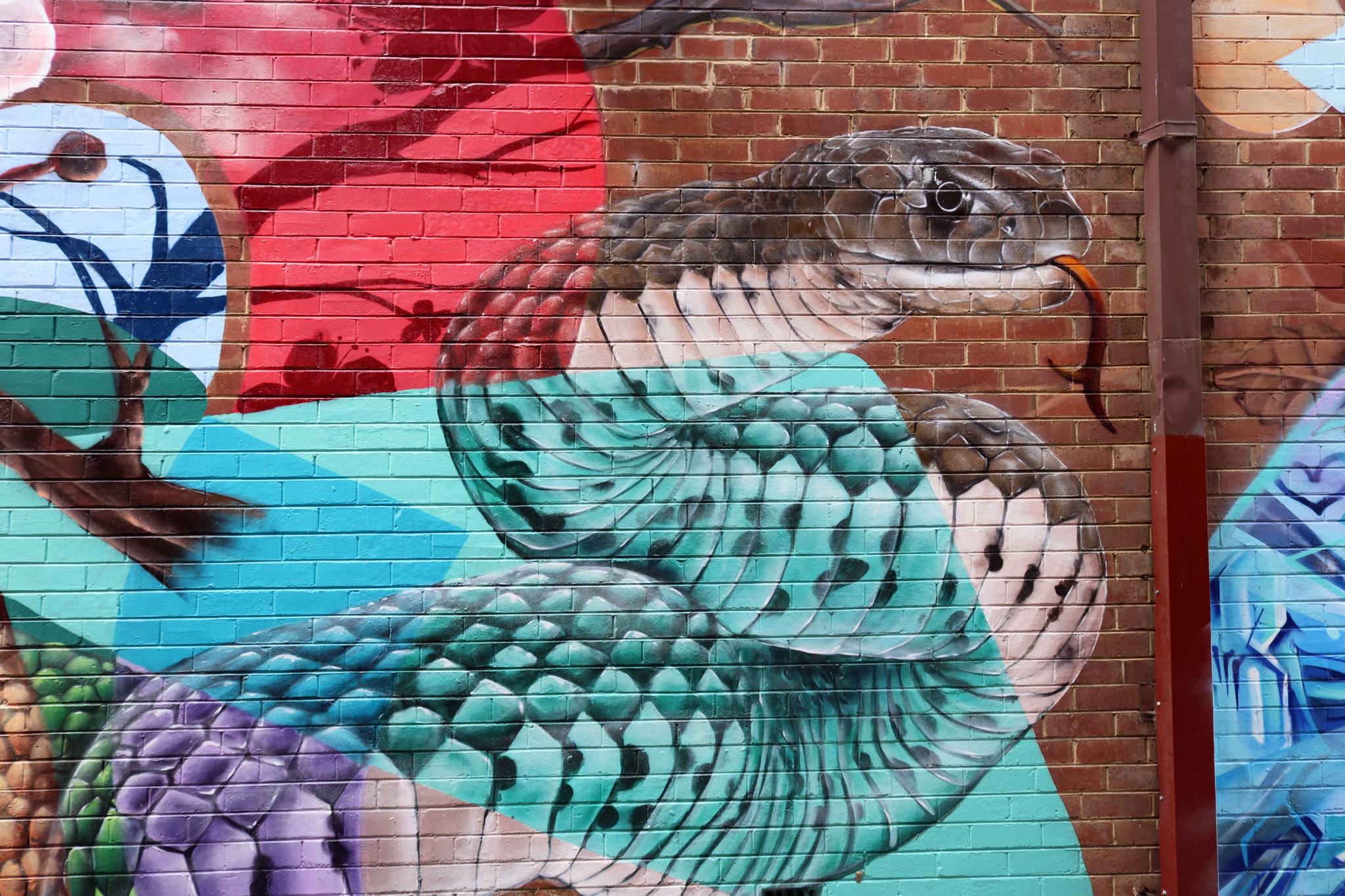 The Brightsiders, The Zookeeper, Drapl&mdash;Cowra Laneway Mural