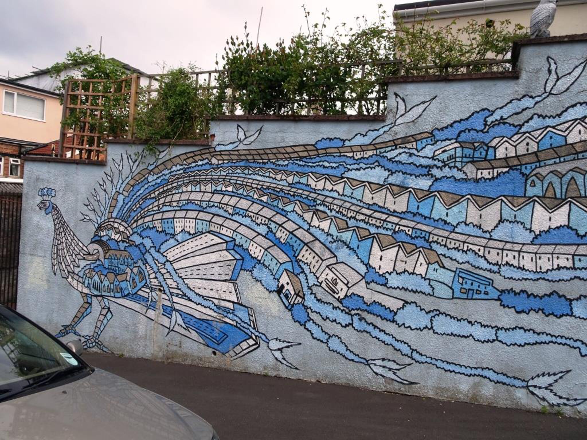 Andy Council&mdash;Peacock