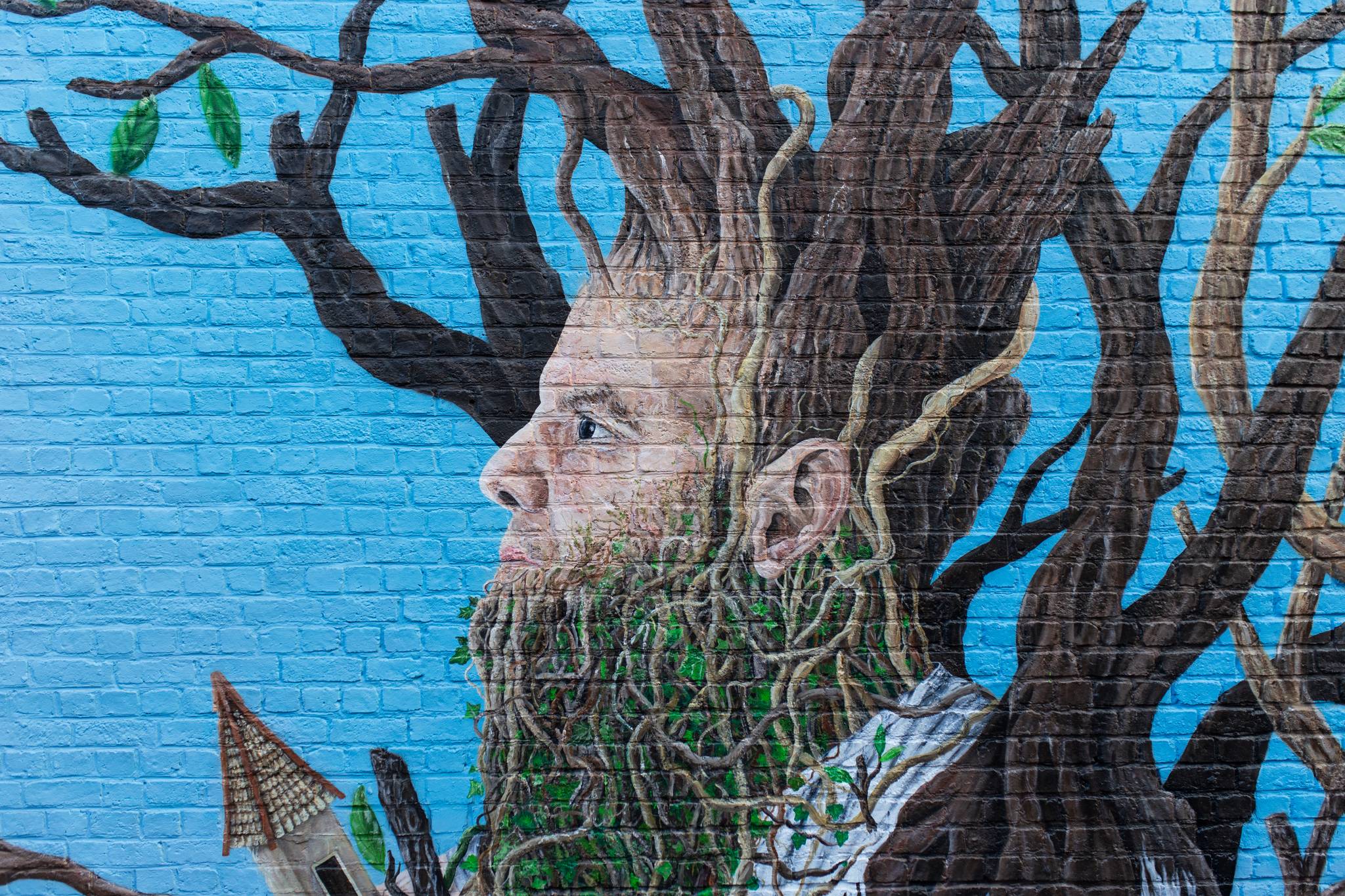 Robin Bodéüs&mdash;De l'humain à l'arbre, de l'arbre à la ville