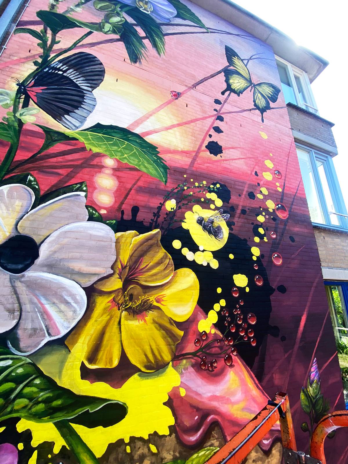 Nadia van Luijk&mdash;NATURE'S GIFT - The golden hour
