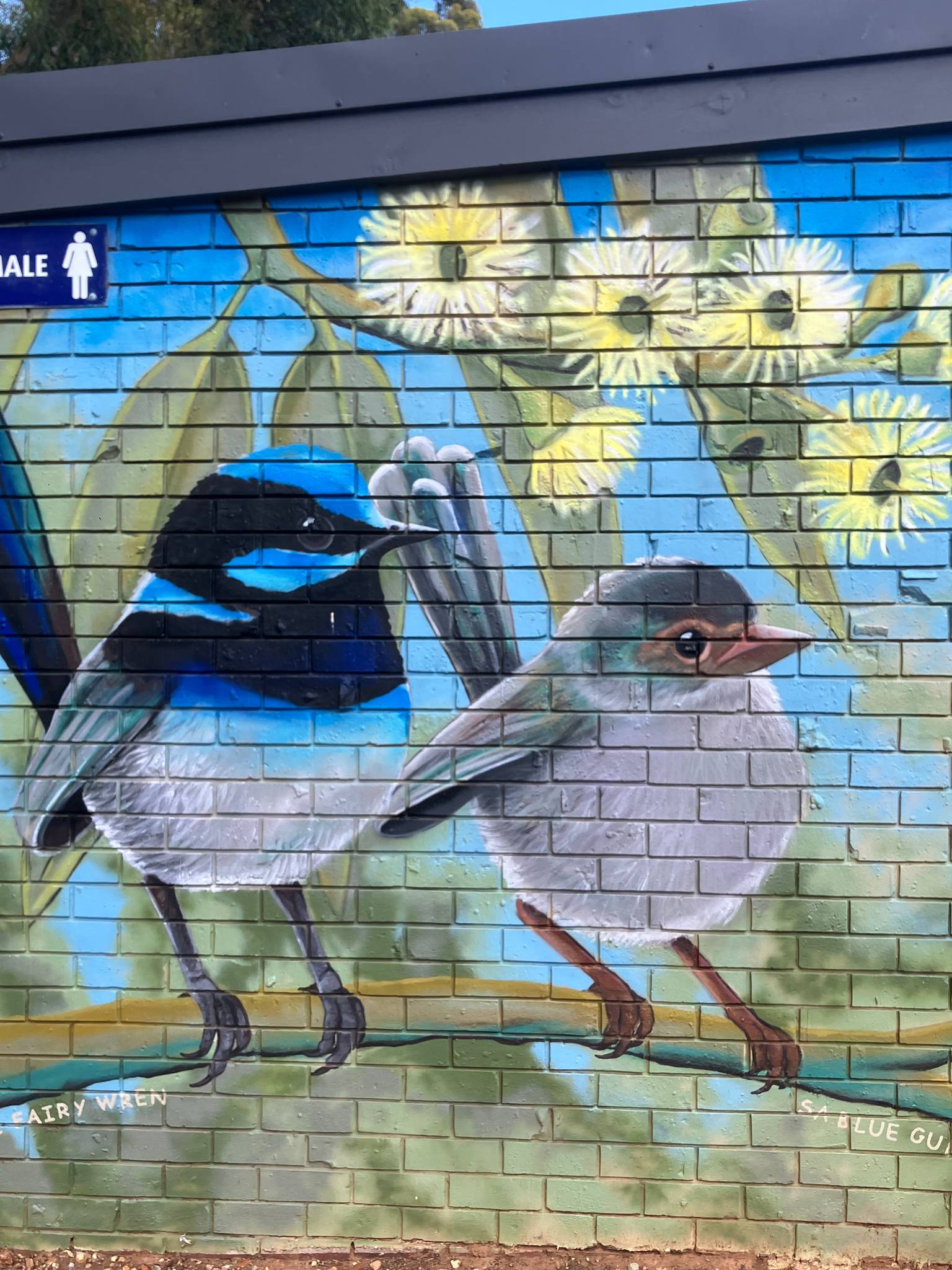 Melita Scott, Keira Scott&mdash;Little Para Wildlife