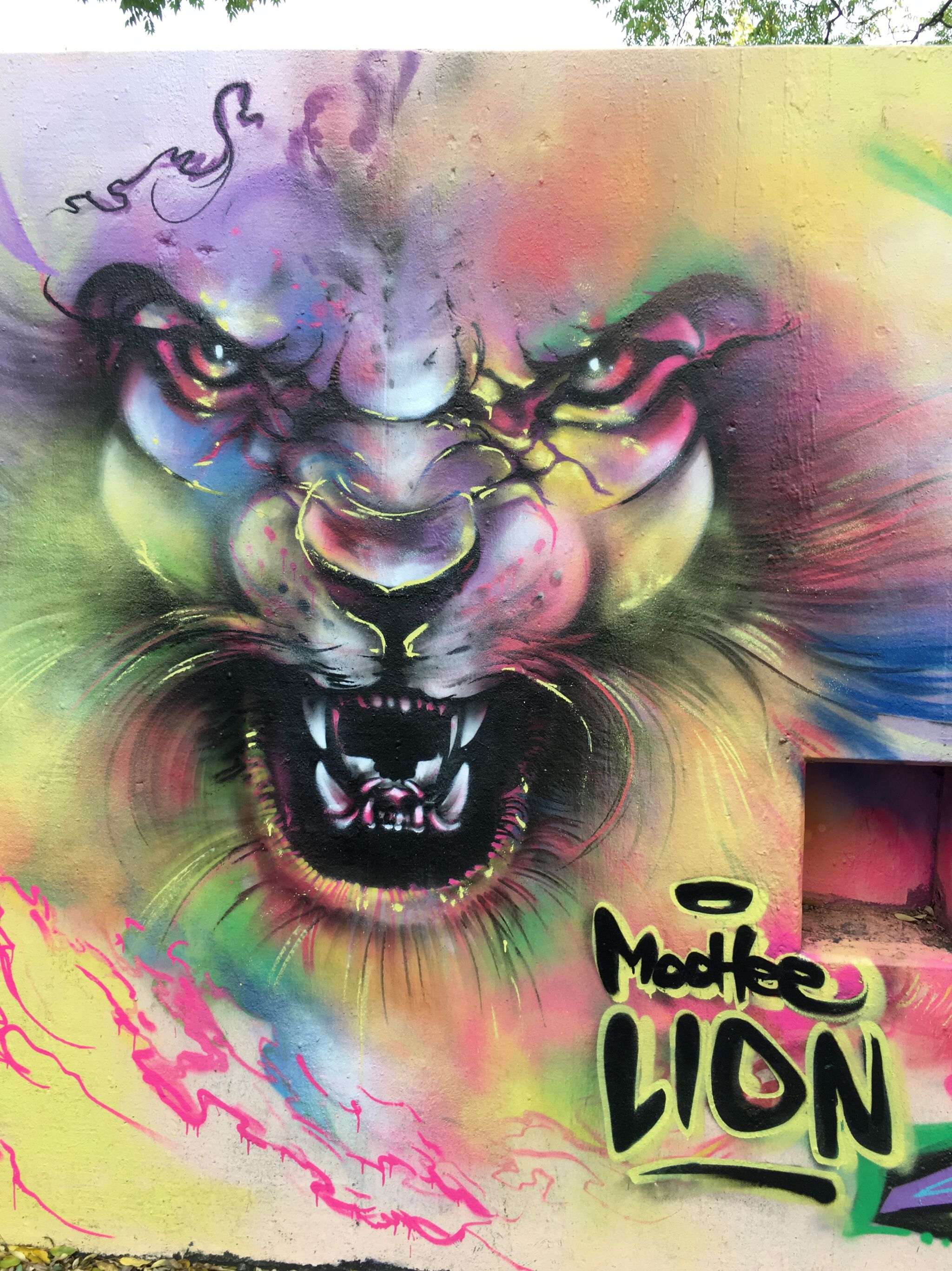Moohee&mdash;Lion