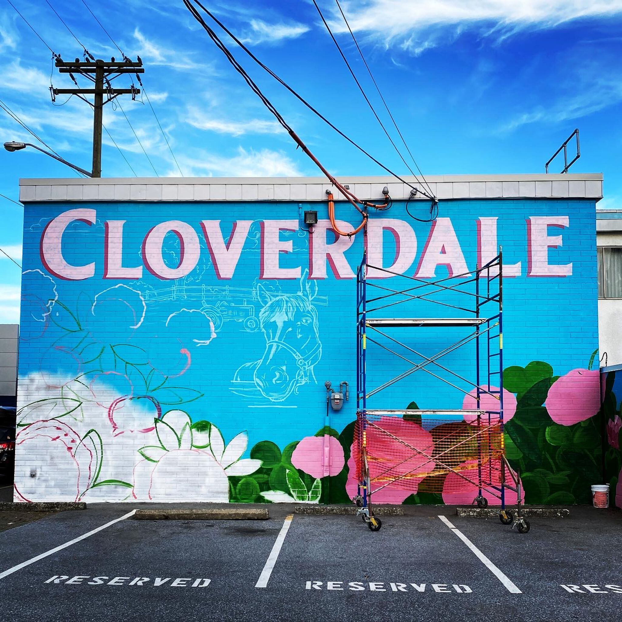 Judy Pohl&mdash;CLOVERDALE