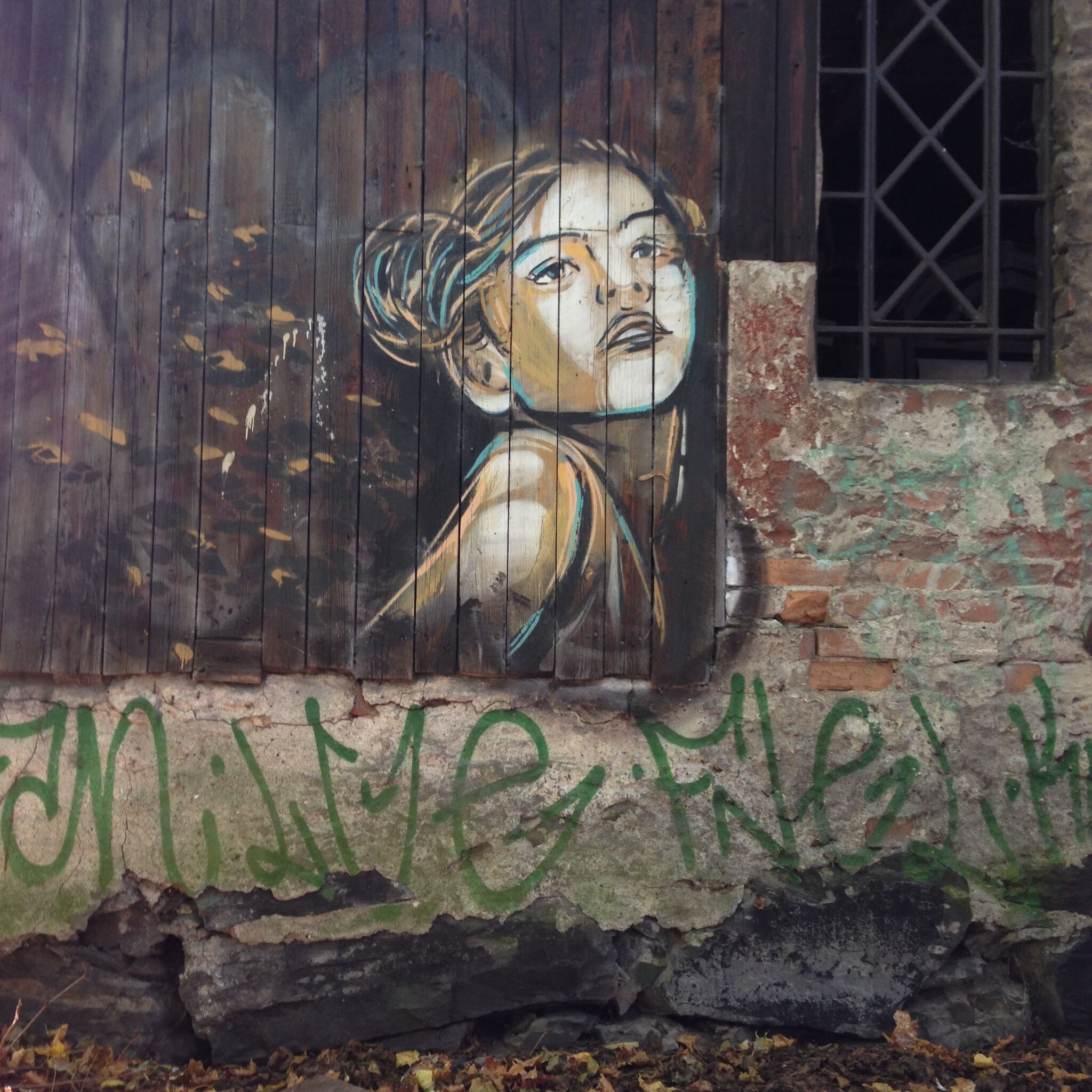 Alice Pasquini&mdash;Untitled