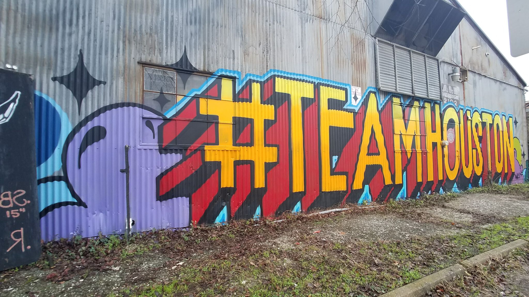 Various Artists&mdash;Team Houston