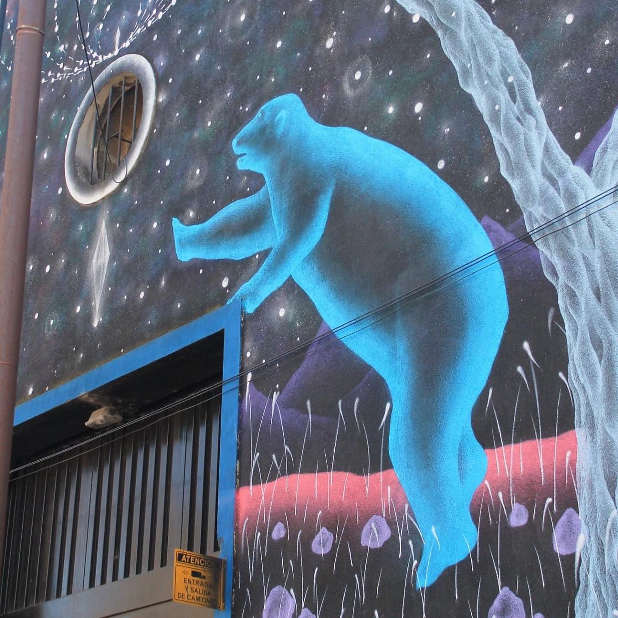 Mariana Zumi&mdash;Osos (Bears)