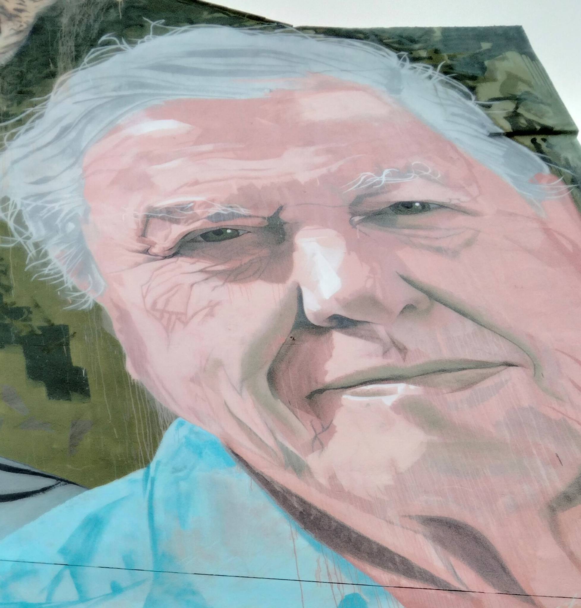 Joe Greenaway&mdash;David Attenborough/ Jane Goodall