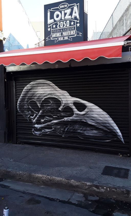 Finch Skull