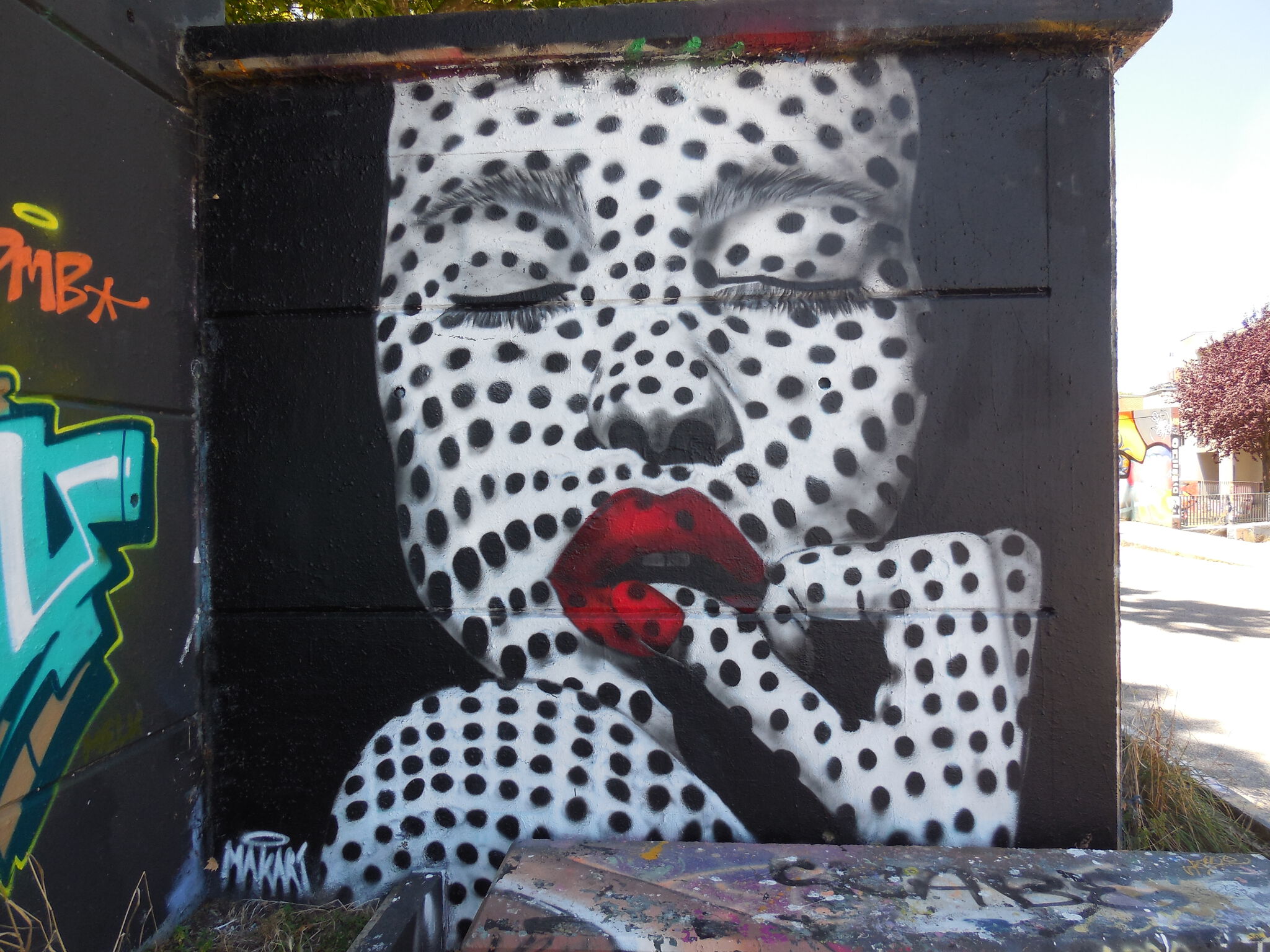 Mak Art&mdash;Portrait à pois (n'est plus visible)