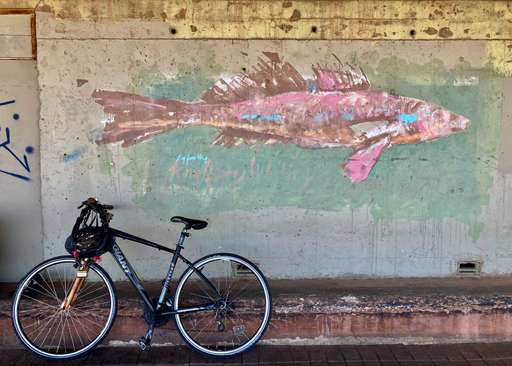 King George Whiting