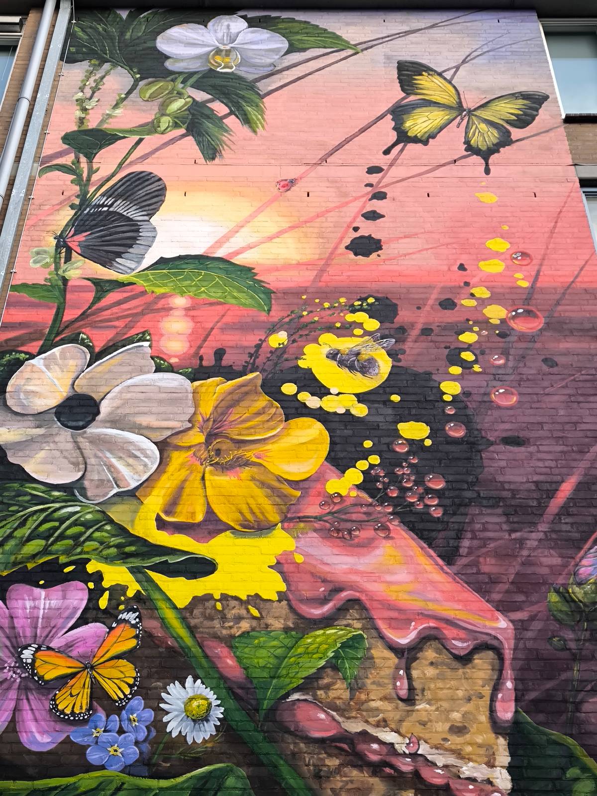 Nadia van Luijk&mdash;NATURE'S GIFT - The golden hour