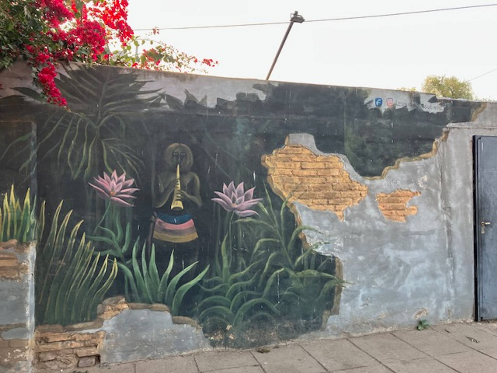 Leonardo Aguaisol&mdash;Animal