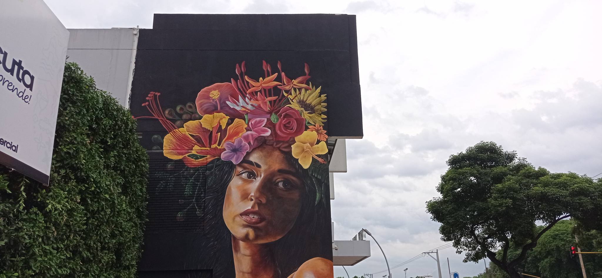 Esquema Colectivo, Vicdarina, Táriba, Darwin Mazo (Dama)&mdash;Ixora y Flores