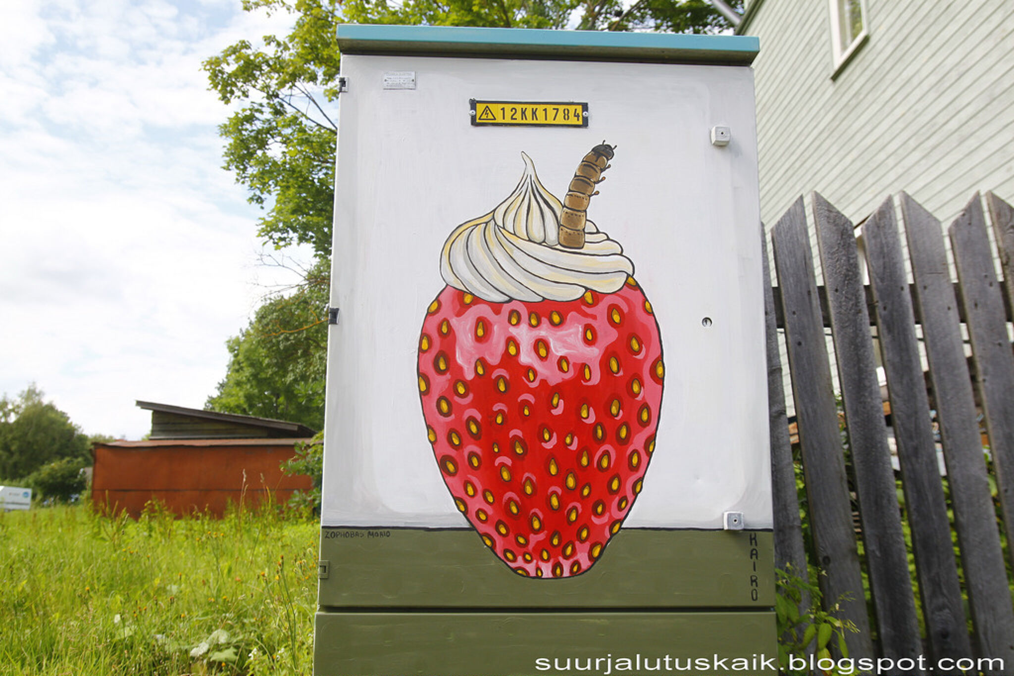 Kairo&mdash;Strawberry with a Twist