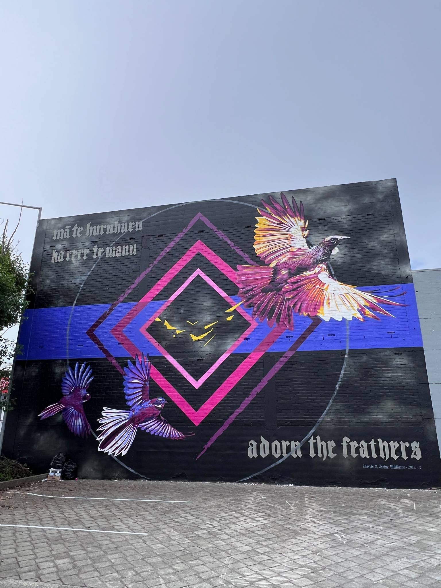 Charles Williams, Janine Williams&mdash;Adorn  the Feathers