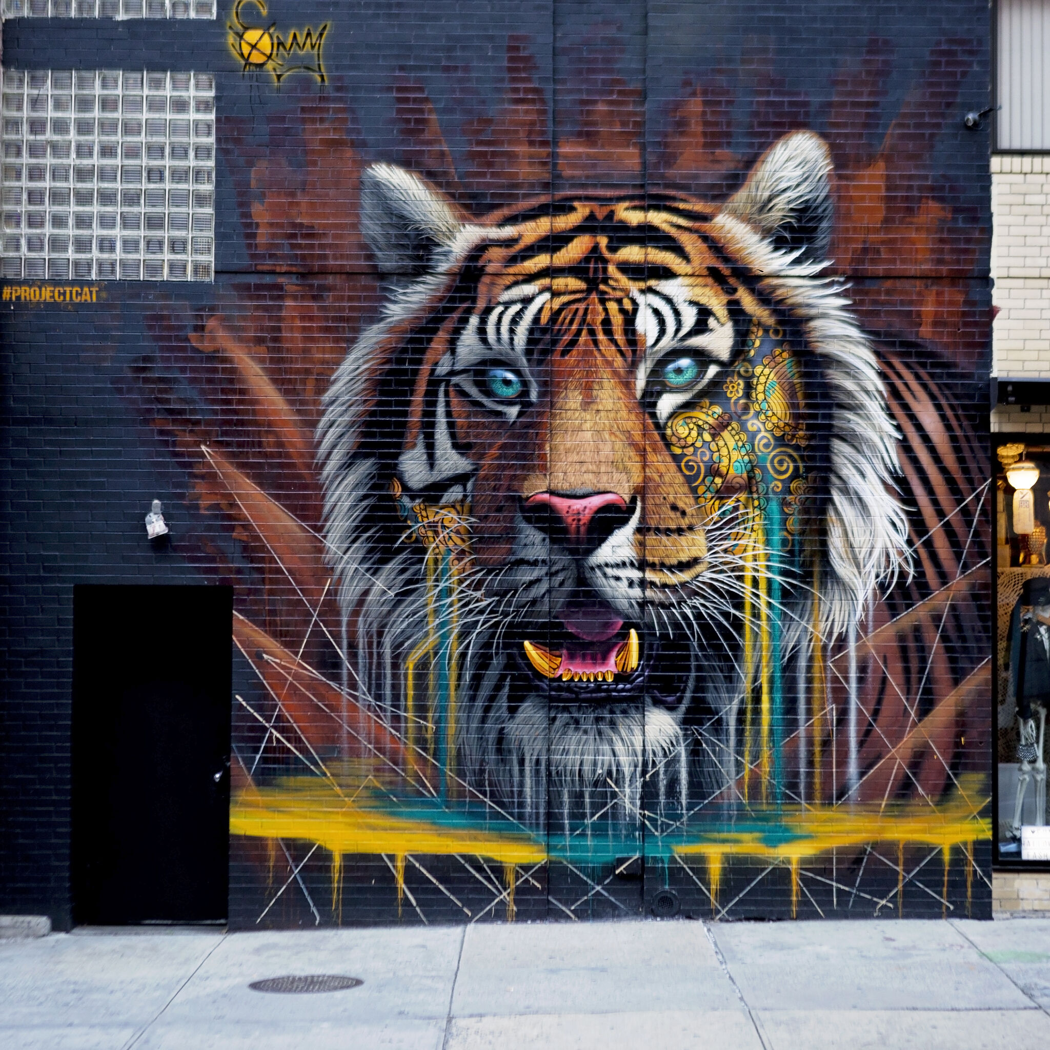 Sonny Sundancer&mdash;Tiger