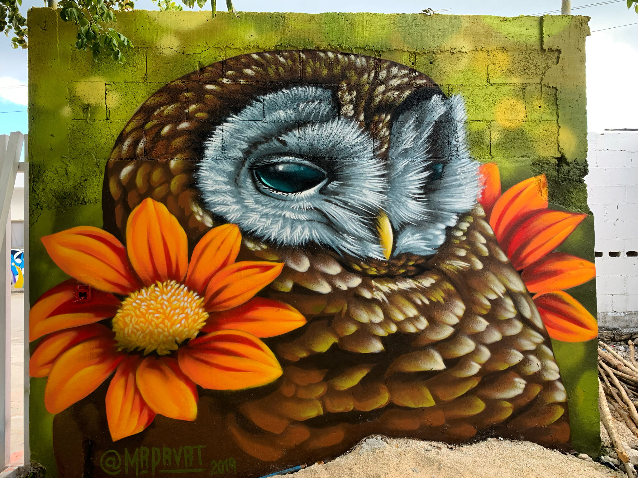 Justin Suarez (Aerosol Kingdom)&mdash;Owl