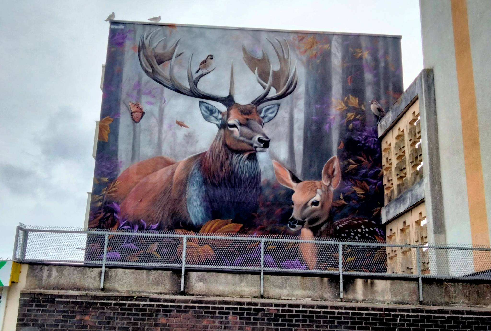 SpraySaint&mdash;Stag
