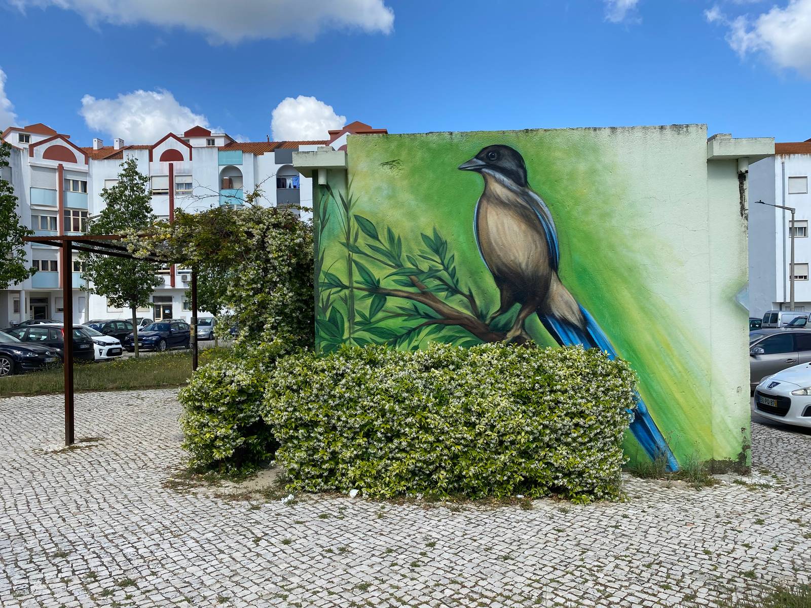 Ricardo Tota&mdash;undefined