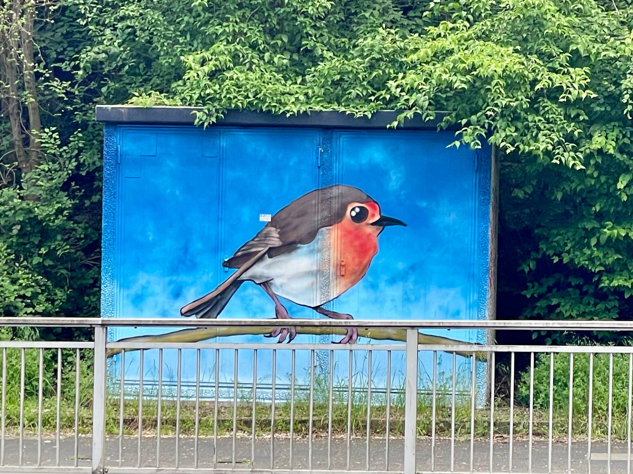 Unknown - Leverkusen&mdash;Robin