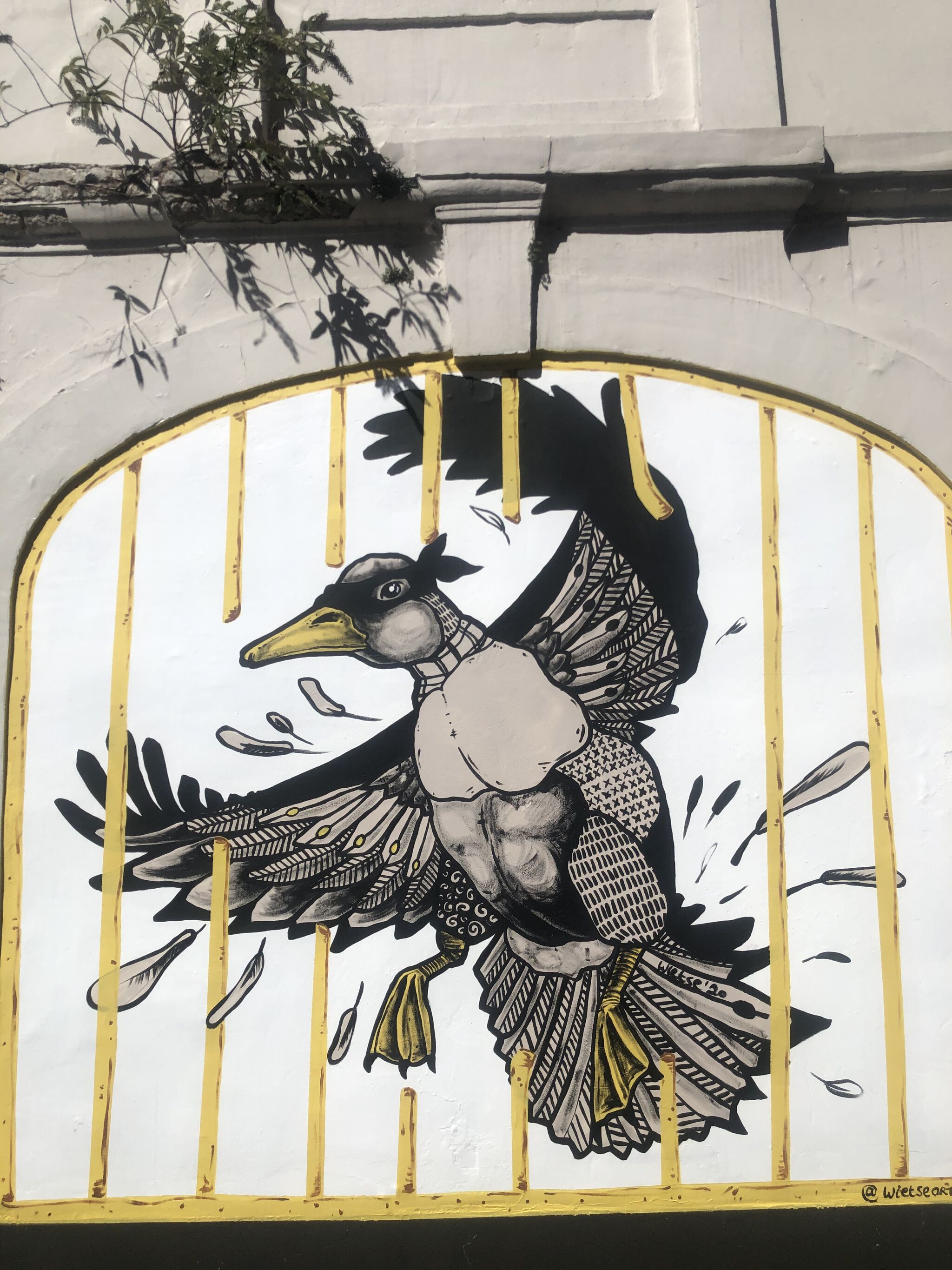 Wietse&mdash;Duck in disguise