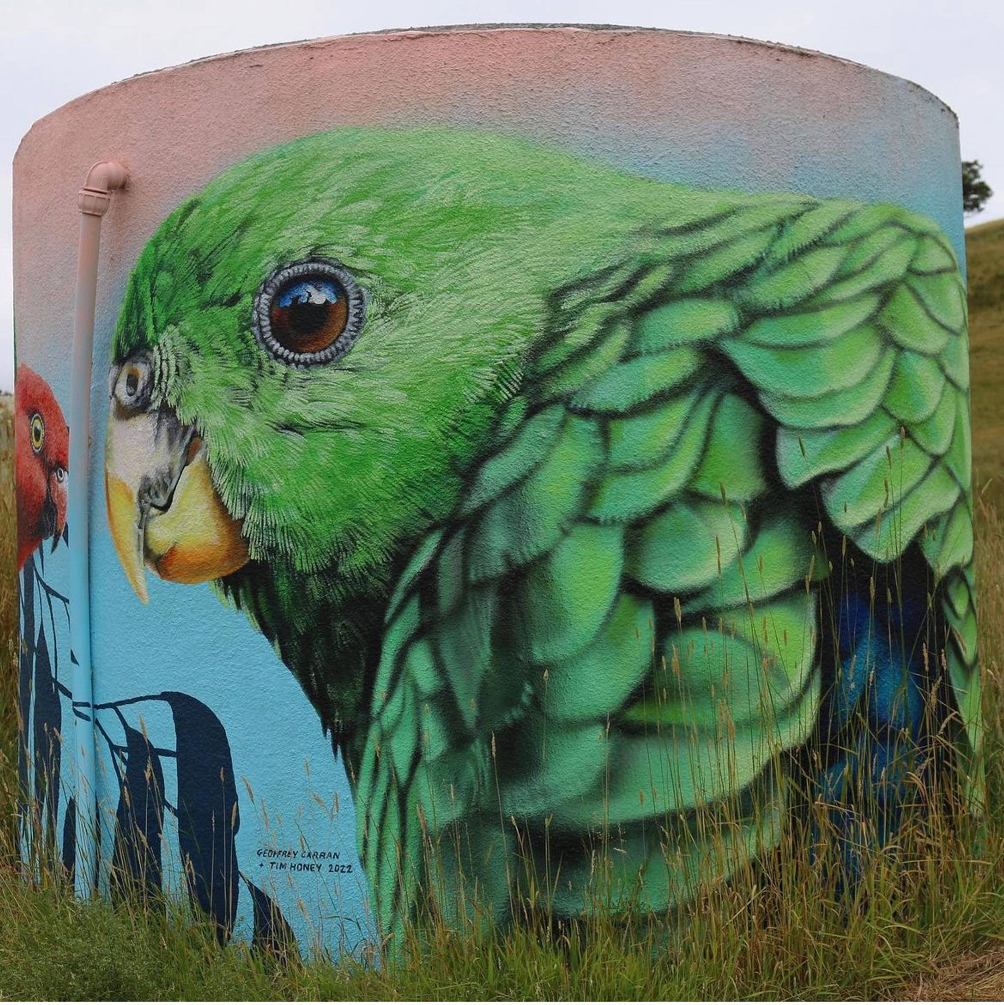 Geoffrey Carran, Tim Honey&mdash;Flowerdale Water Tank Mural