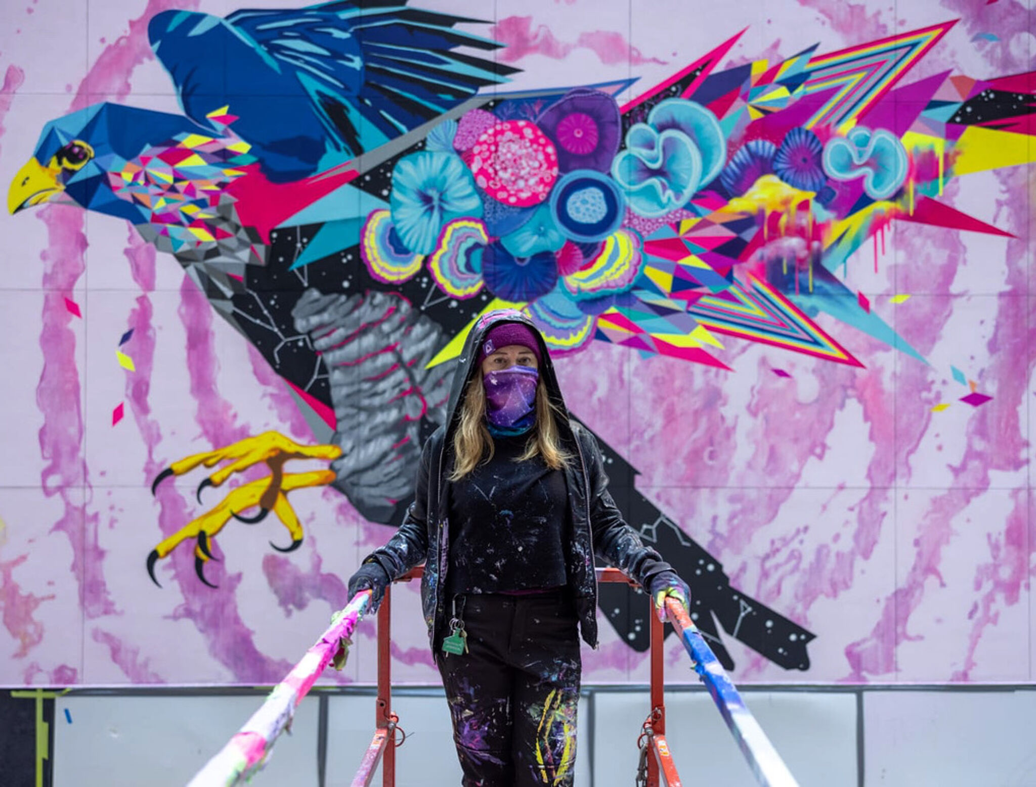Vexta&mdash;Falcon Dreaming