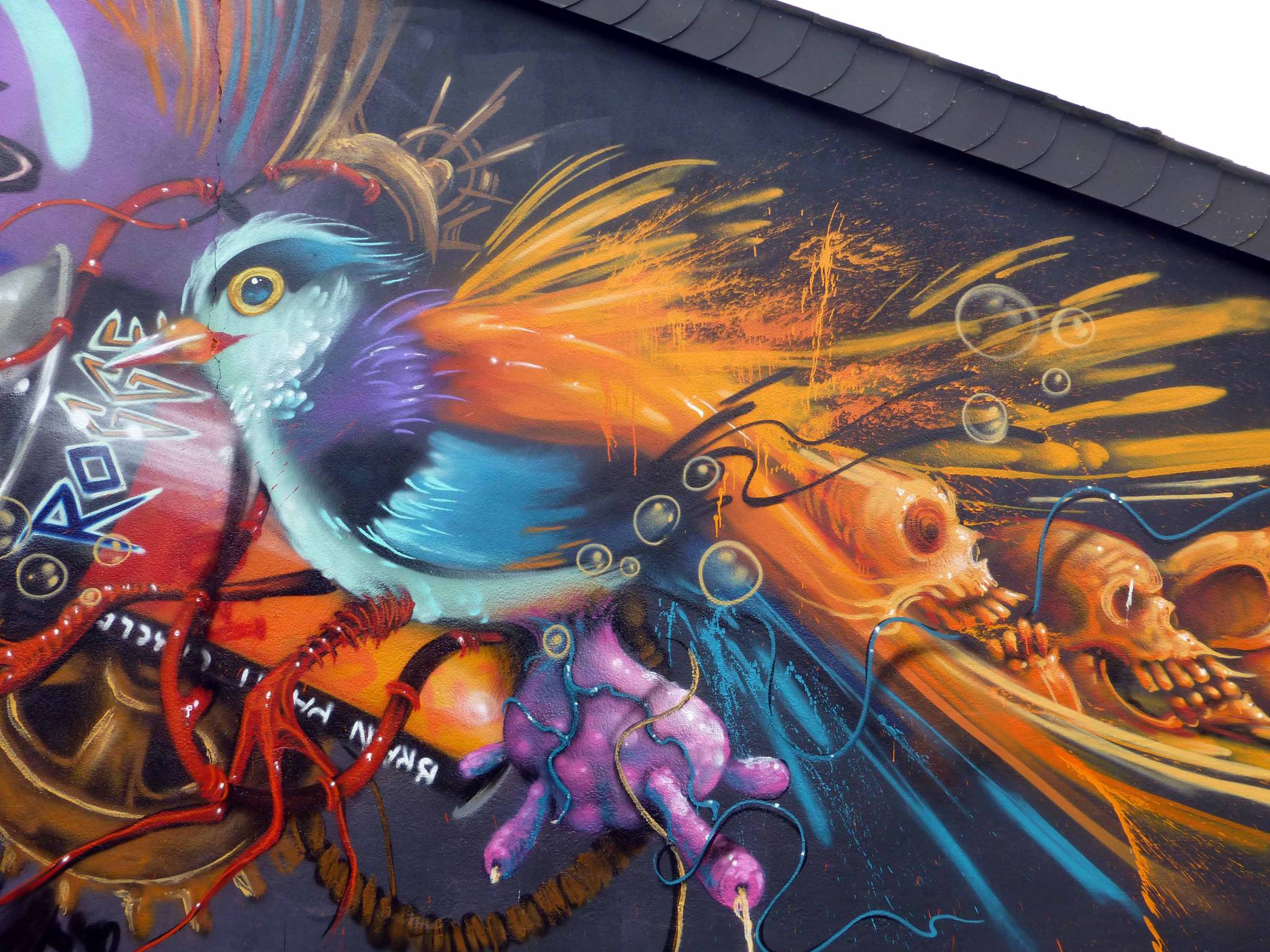 BrainPaintCircle&mdash;The Hoopoe is landed