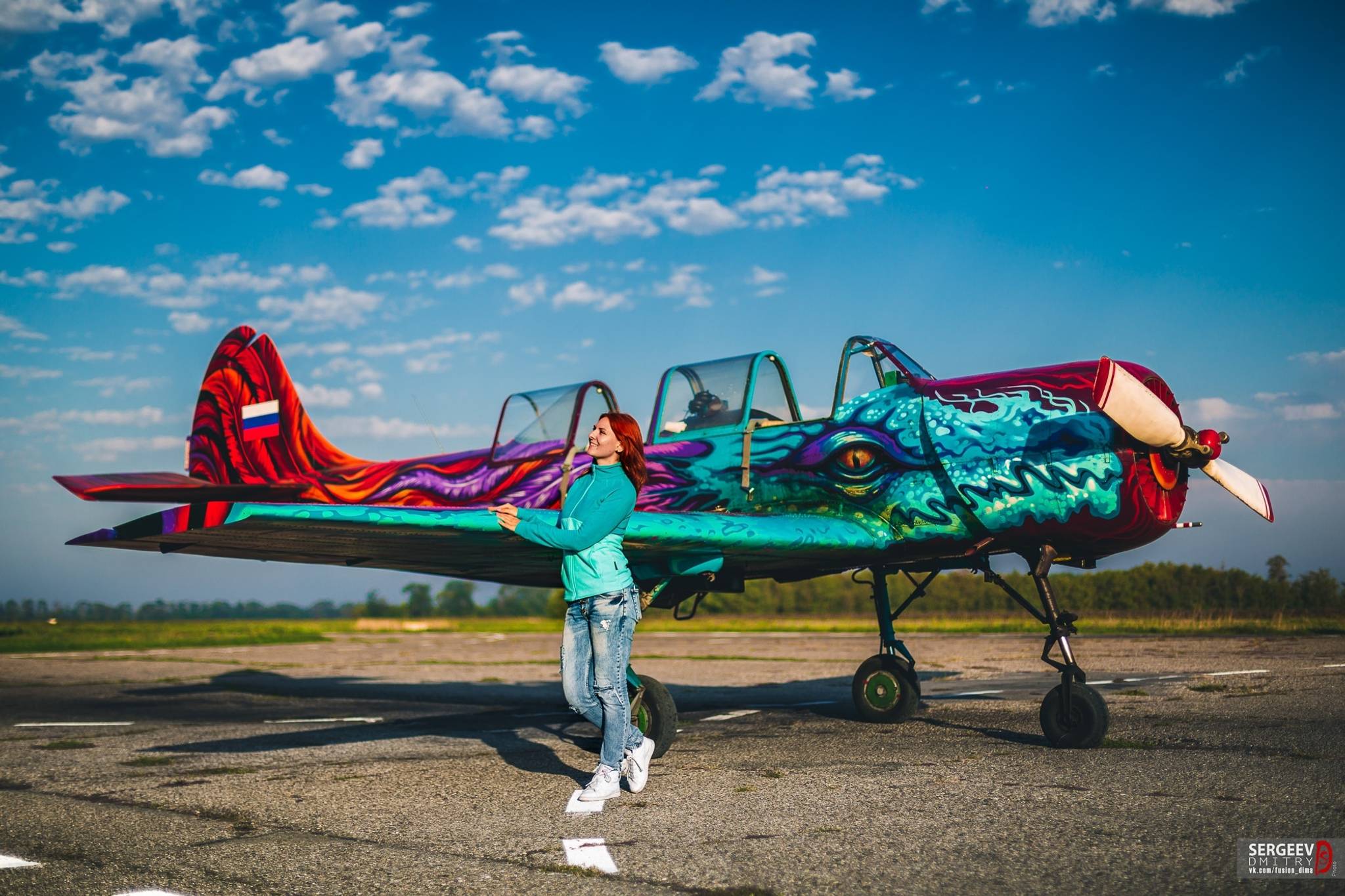 Gooze&mdash;"dragon" -  plane on the airfield