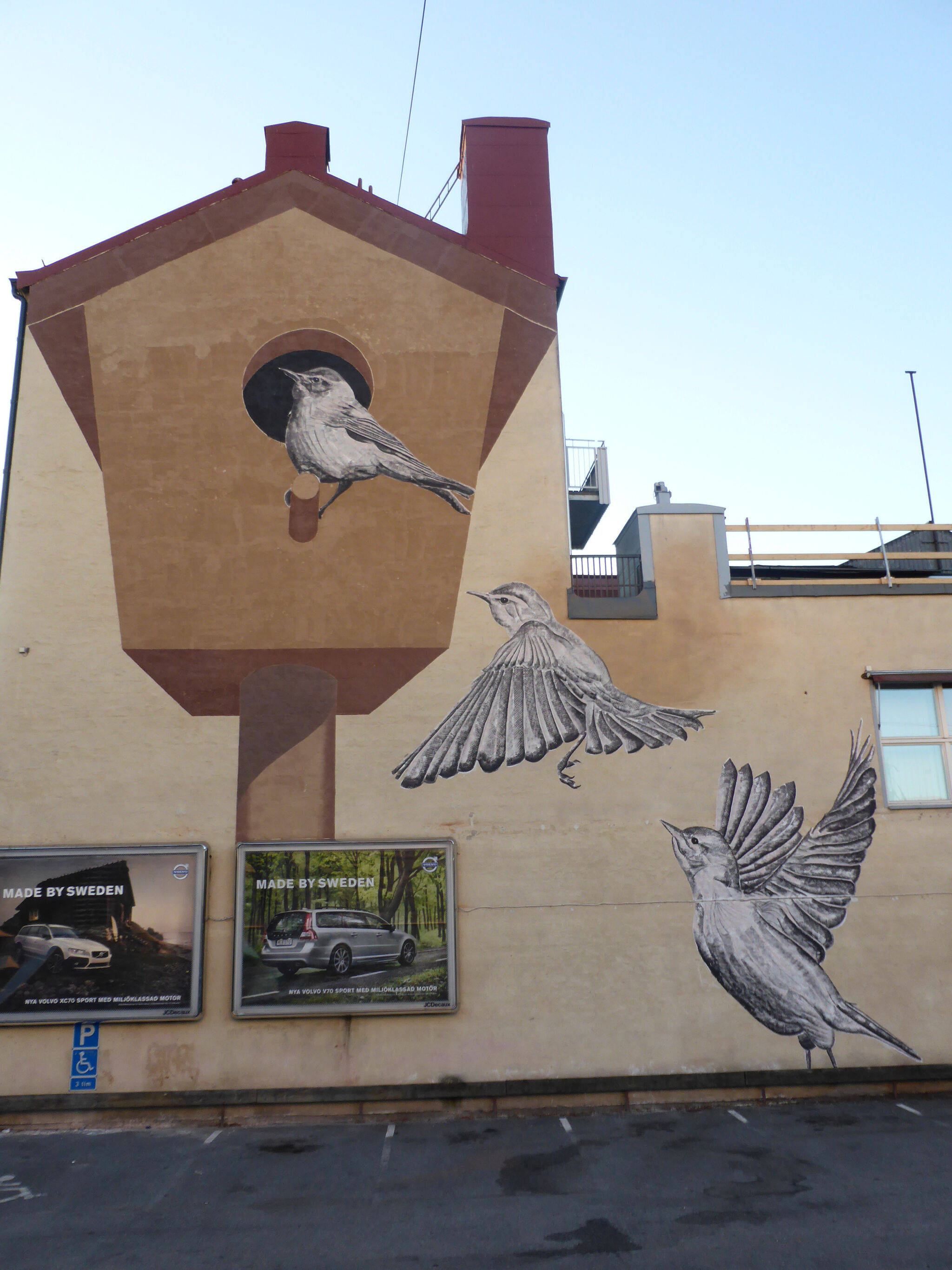 Roadsworth&mdash;Springbirds