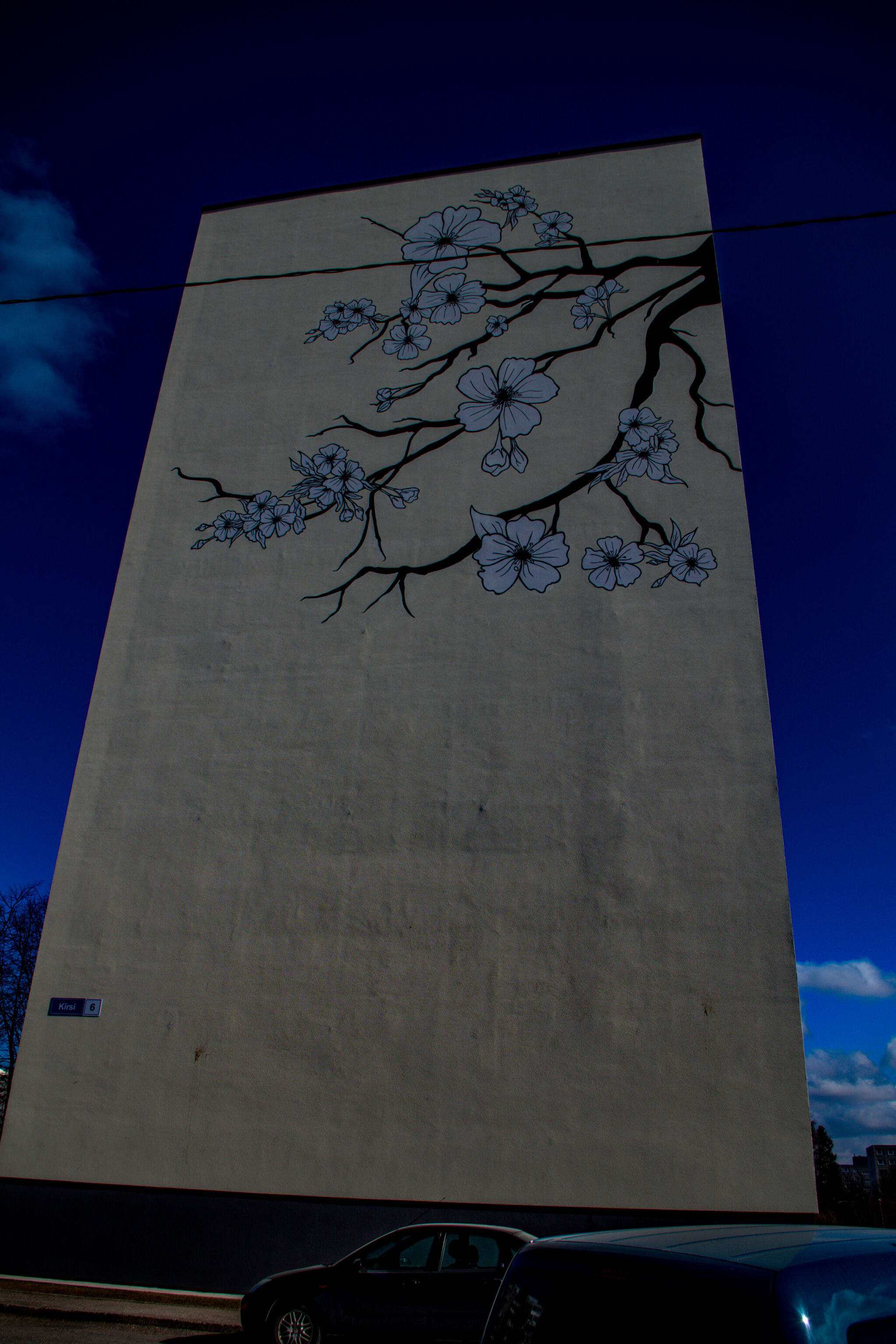 Unknown - Tallinn&mdash;Cherry