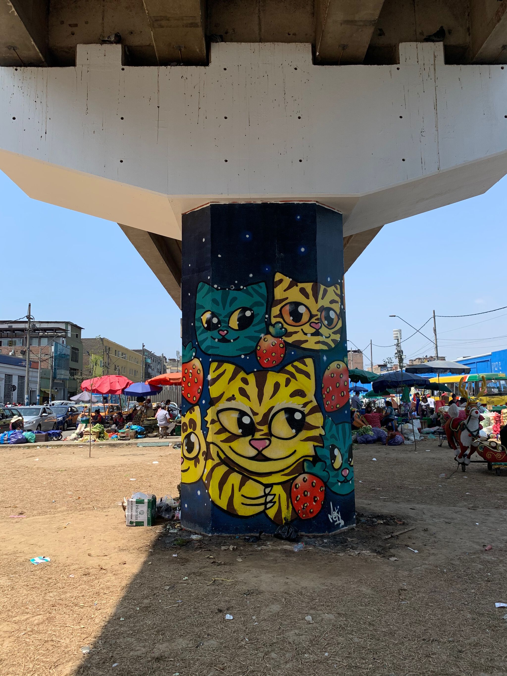 Meki&mdash;Cats