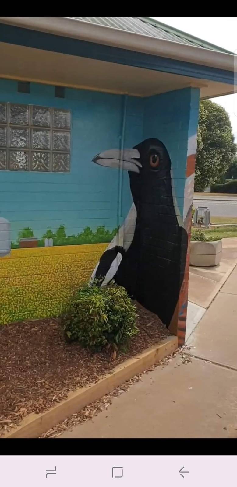 Tank Art&mdash;CR Wood Park Amenities Block Birds