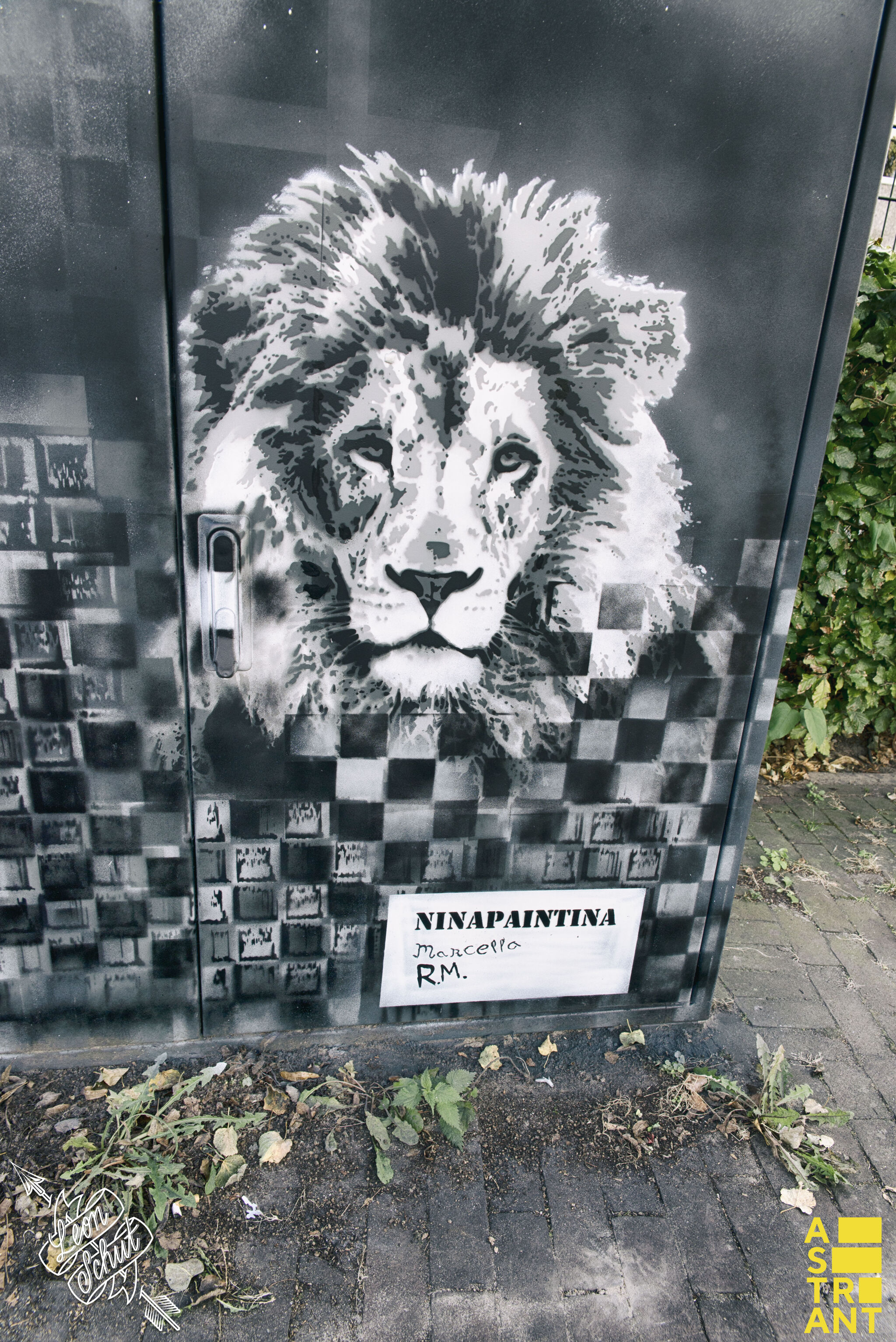 Nina Paintina&mdash;De Wiek