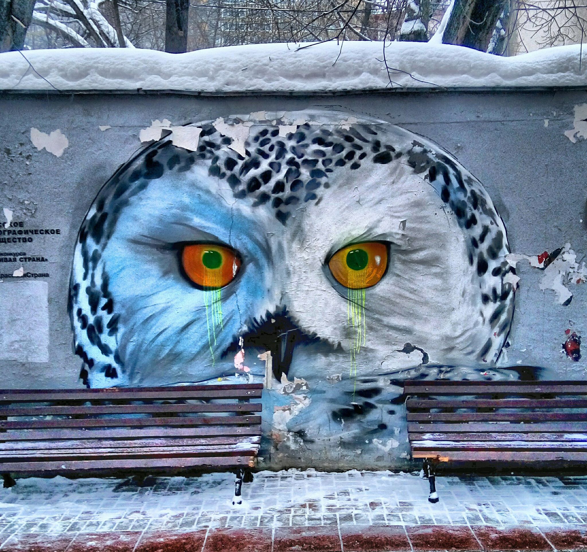 N888k&mdash;Polar Owl