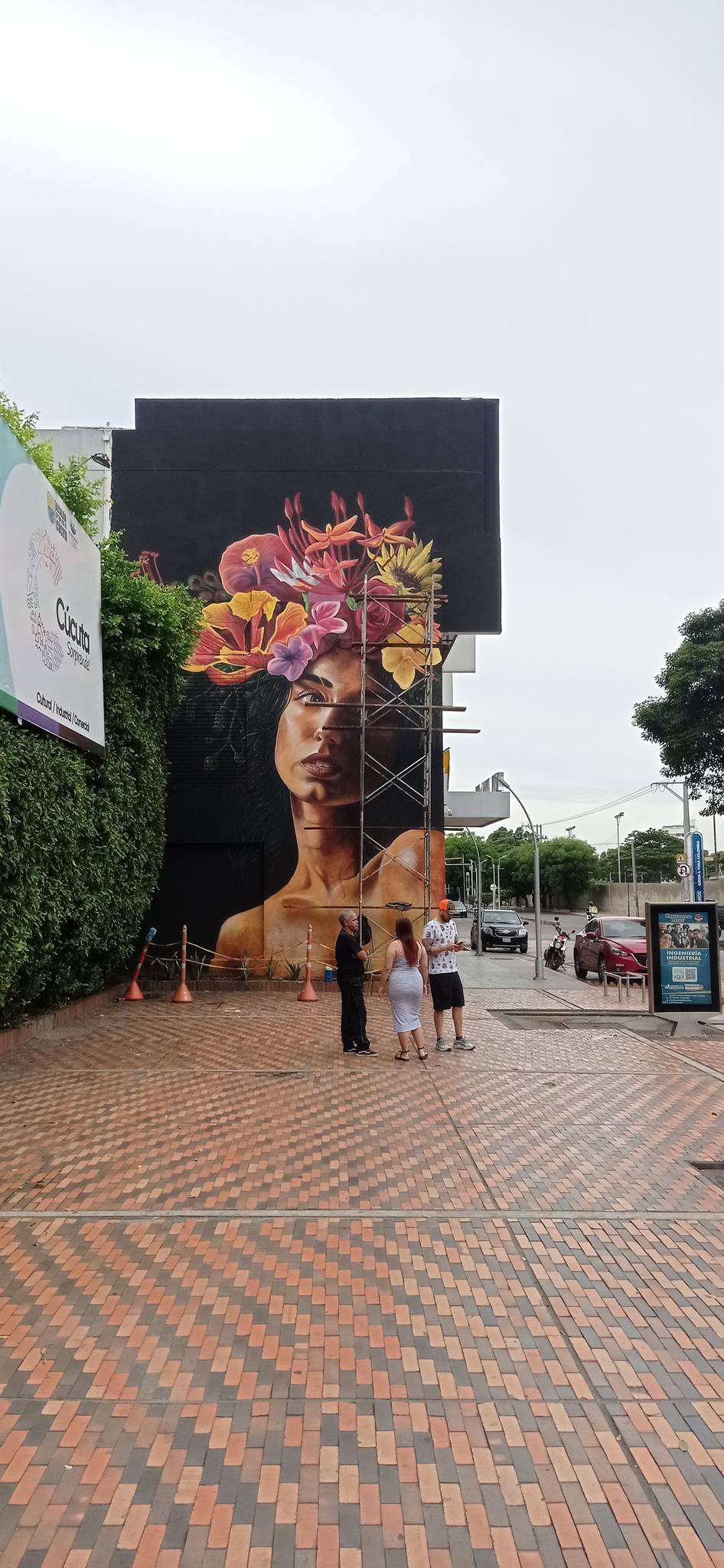Esquema Colectivo, Vicdarina, Táriba, Darwin Mazo (Dama)&mdash;Ixora y Flores