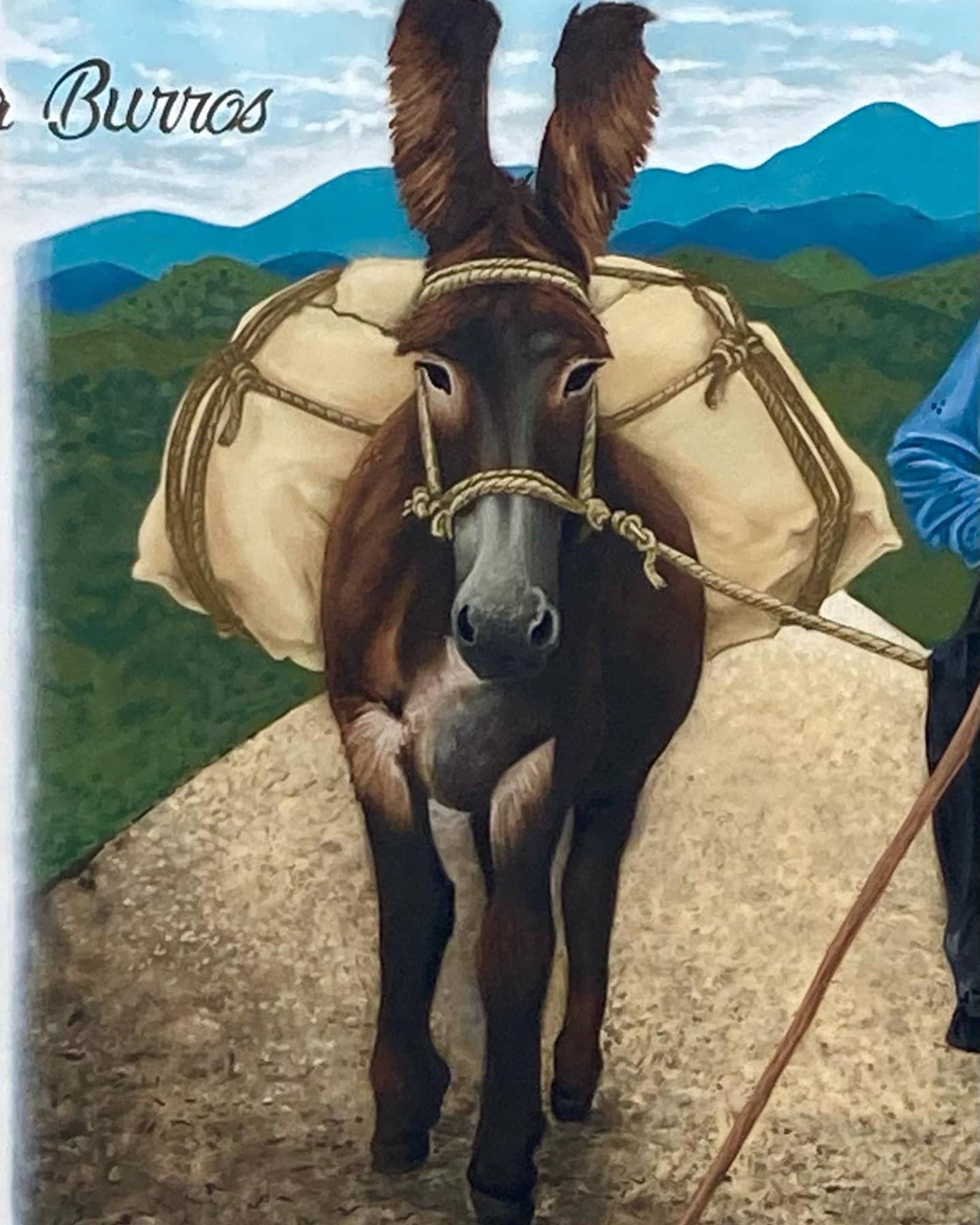 TripDTOS&mdash;Os Pica Burros