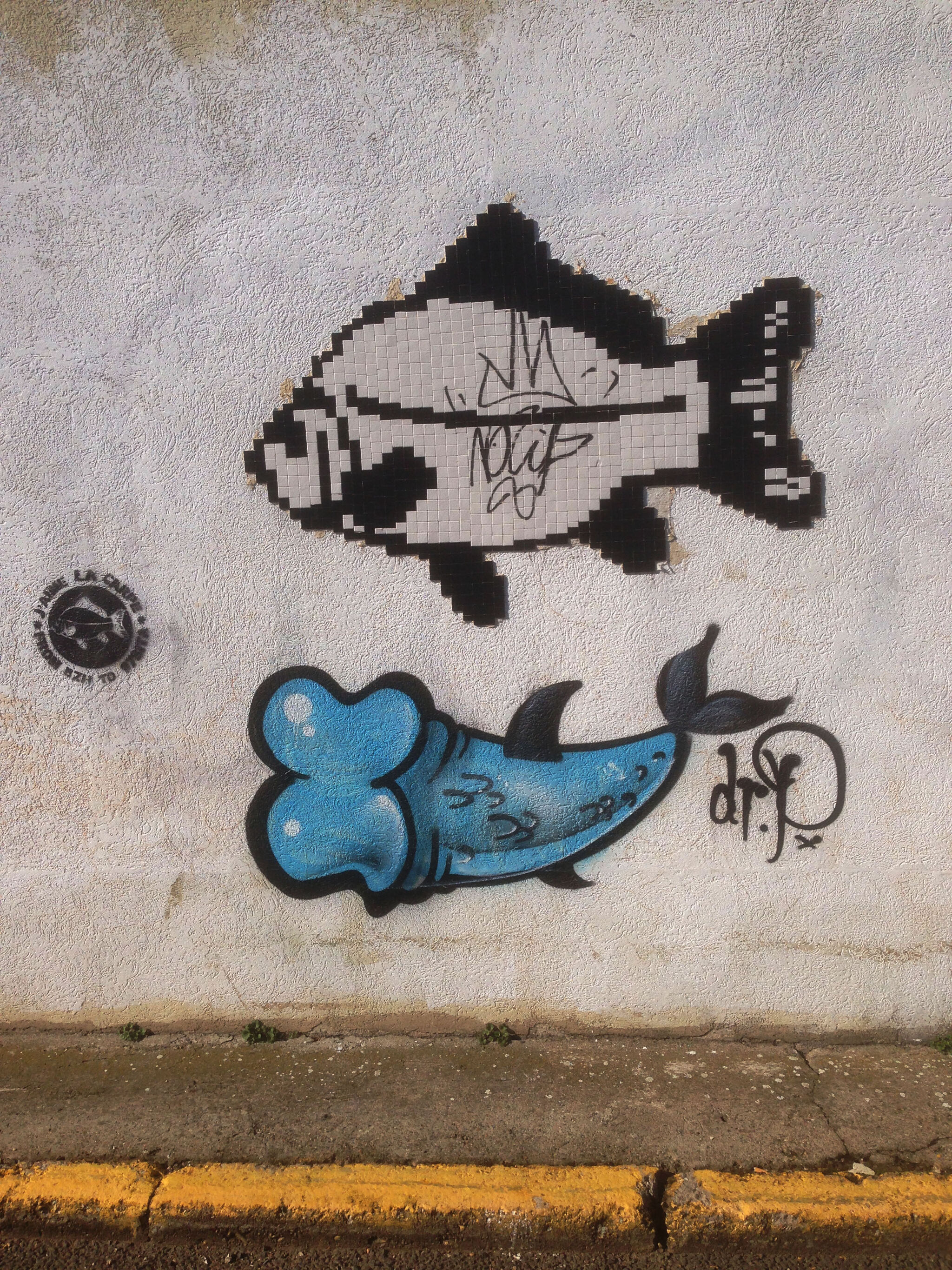 Unknown - Montauban&mdash;Carp