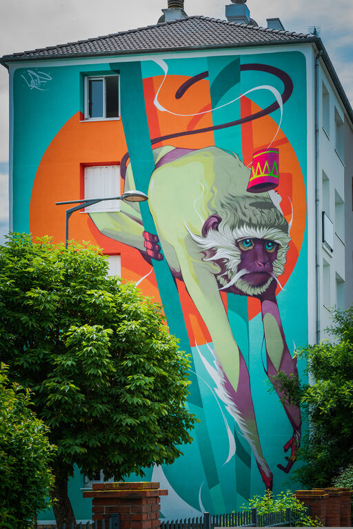 LE VERVET