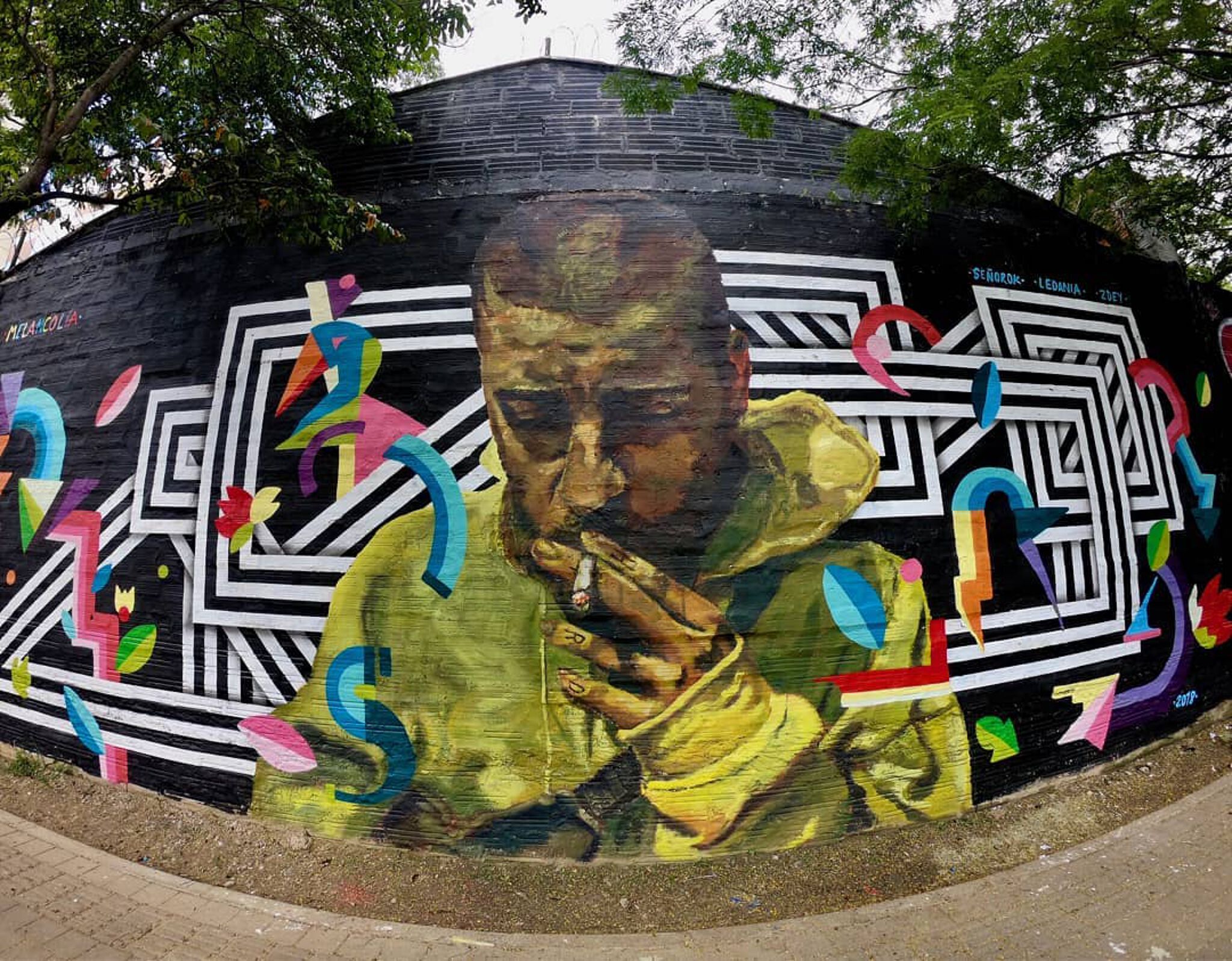 Señor OK, Ledania, ZDEY&mdash;Untitled