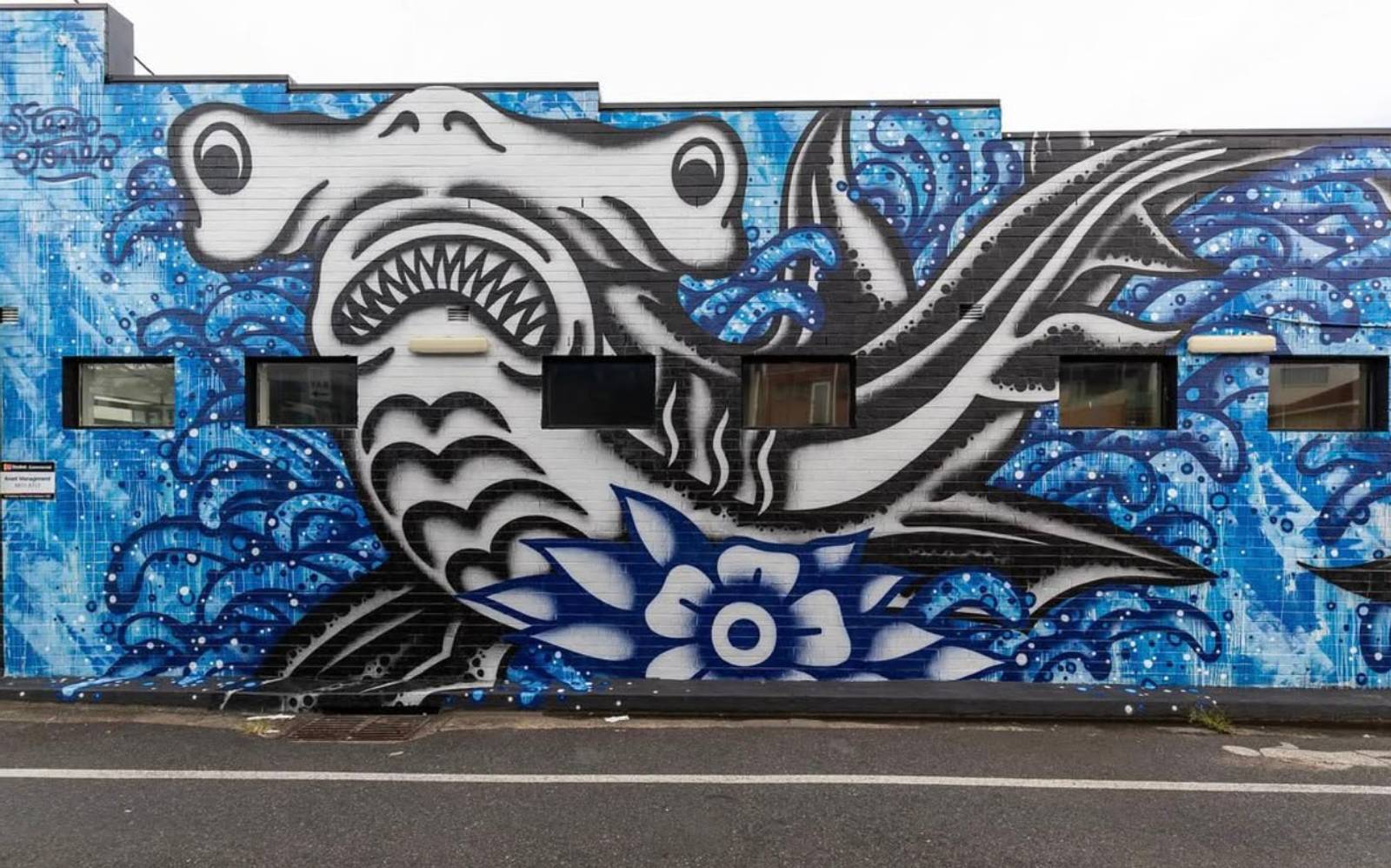 Steen Jones&mdash;Hammerhead Sharks