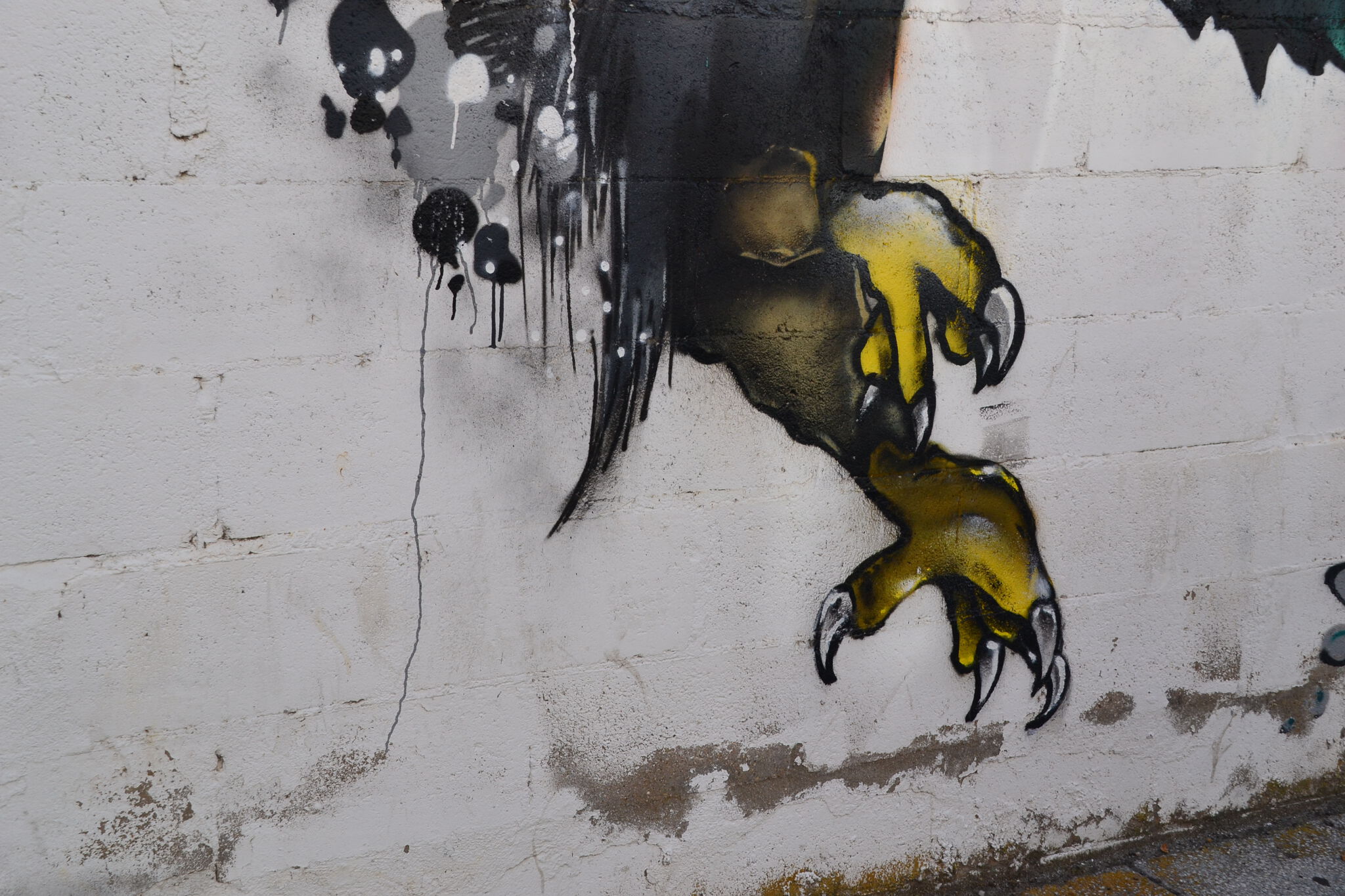 Sonk&mdash;Aguila
