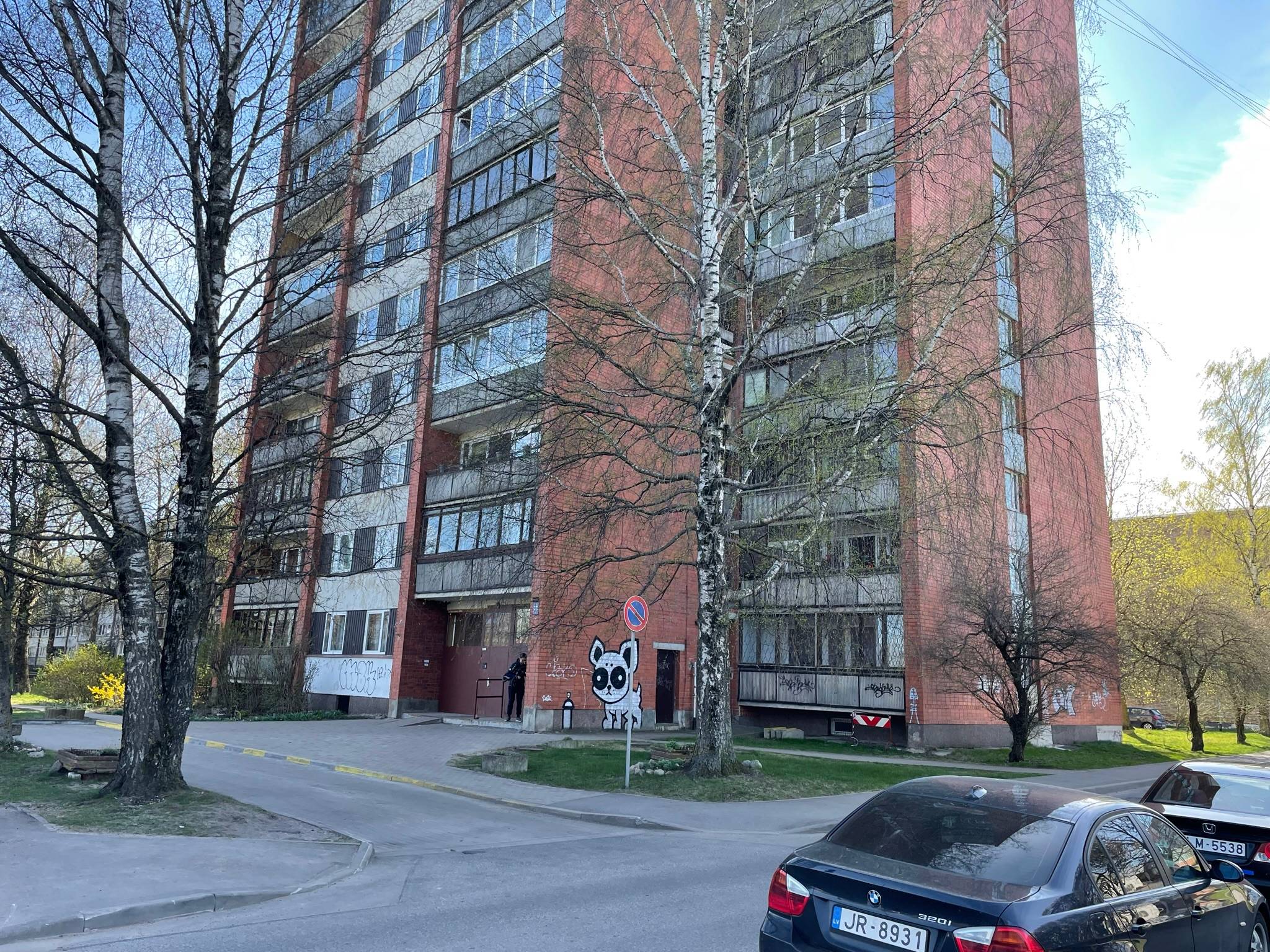 Unknown - Riga&mdash;Dog